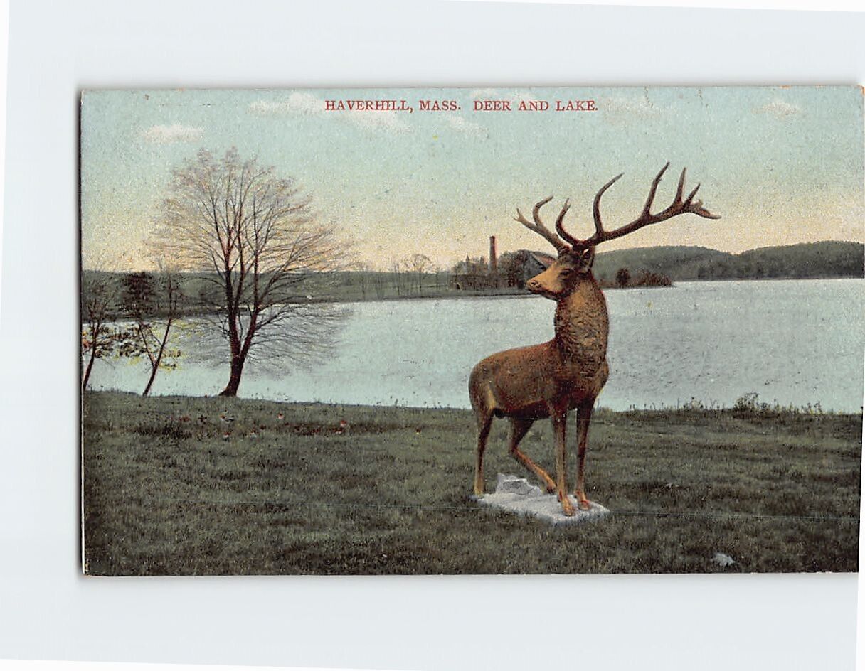 Postcard Deer & Lake Haverhill Massachusetts USA