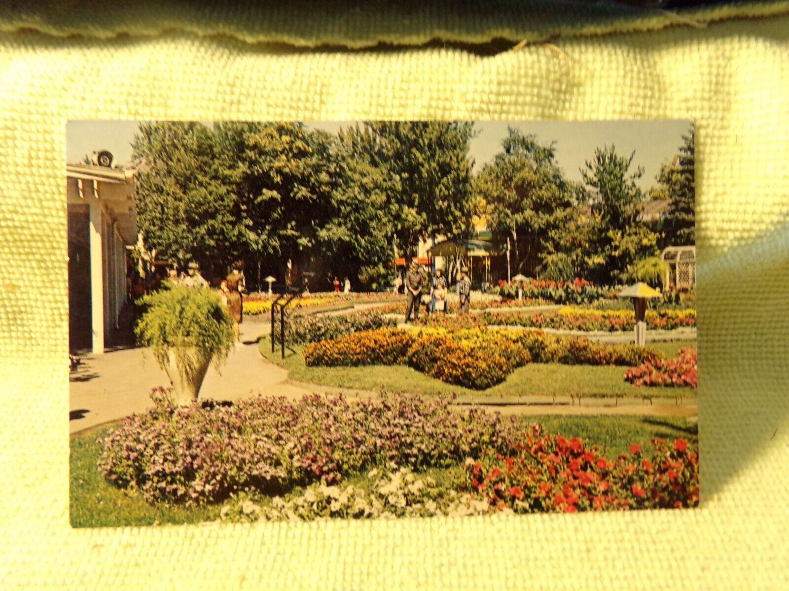 Postcard Elitch Gardens In Mile High Denver, Colorado