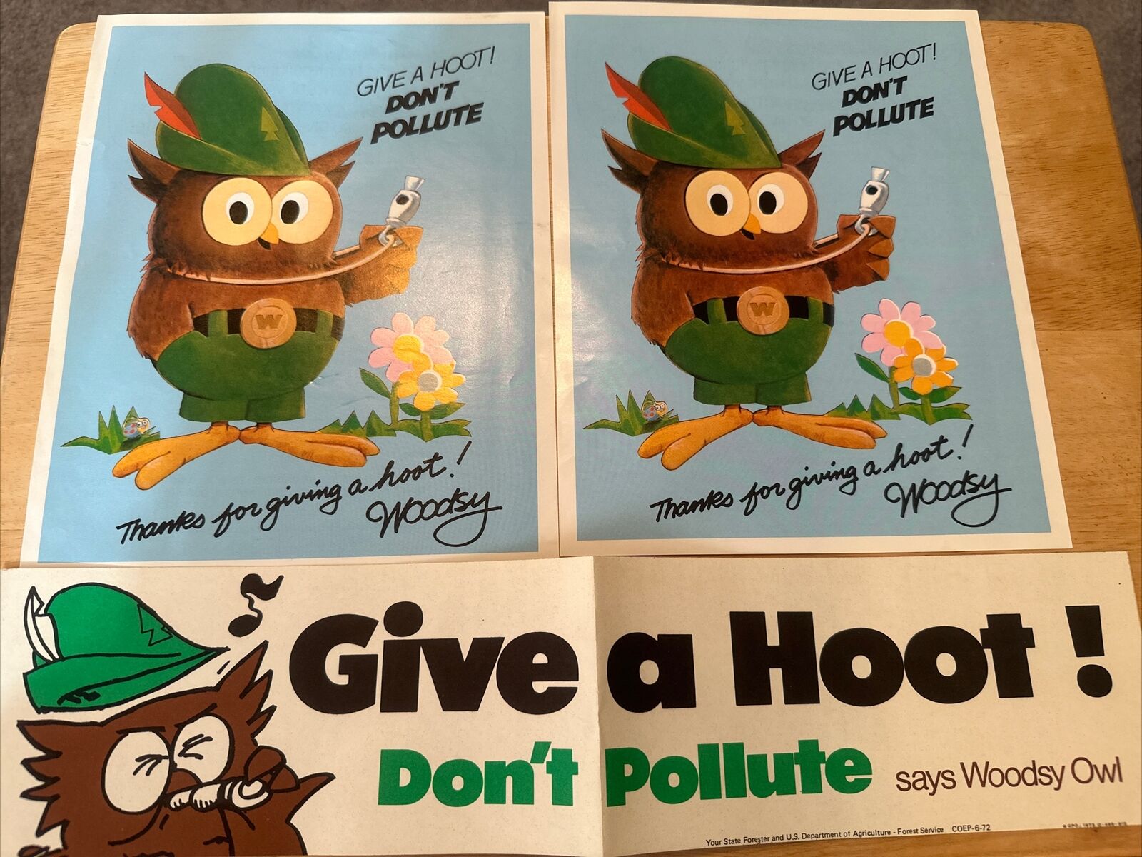 Vintage 1973 Woodsy Owl Give A Hoot Don't Pollute Environmental Sign & Sticker