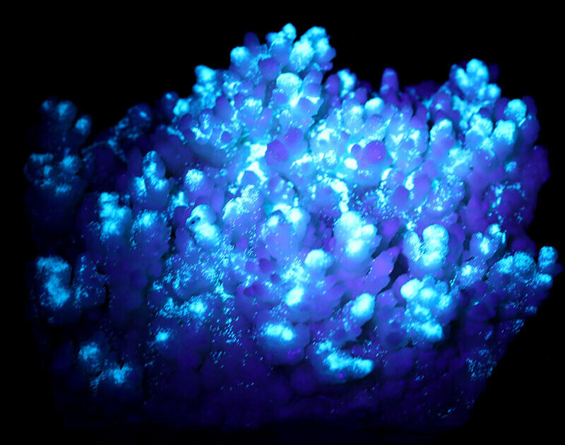 1359g Rare natural blue fluorescent hydrozinc mineral specimen