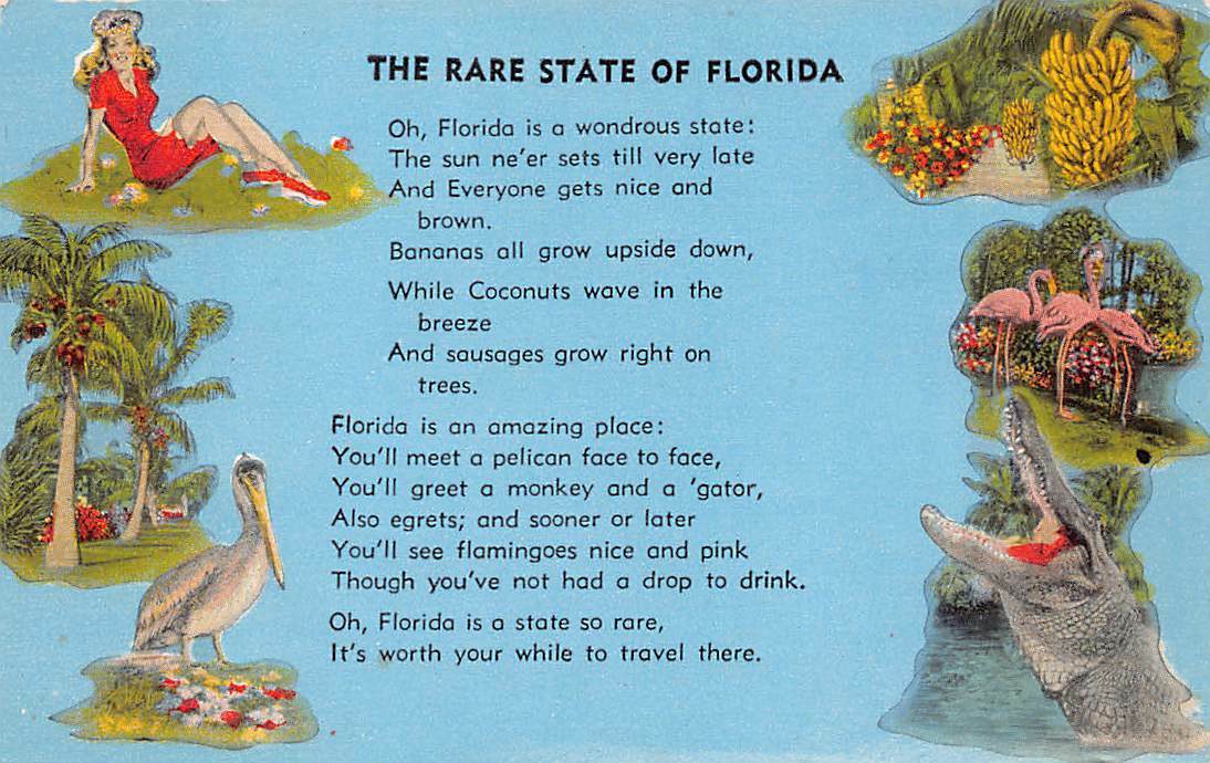 Florida FL Beauty Postcard Tavares Palatka Ft Walton Stuart Palm Bay Eustis