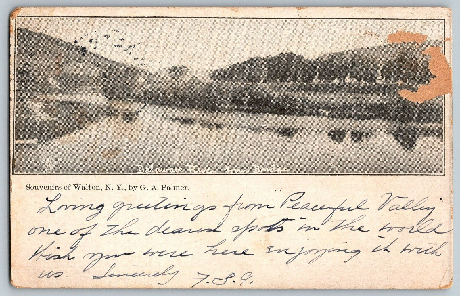Souvenirs of Walton, New York., by G.A. Palmer - Vintage Postcard - Posted