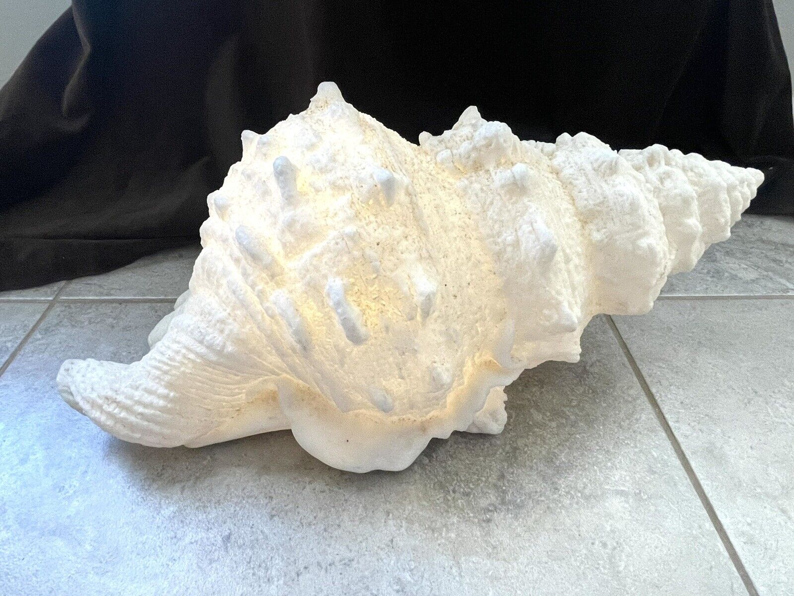 Vintage Cottage Beach Art ~ Sea Shell Lamp ~ Large CONCH Shell 17”~ Shell Light