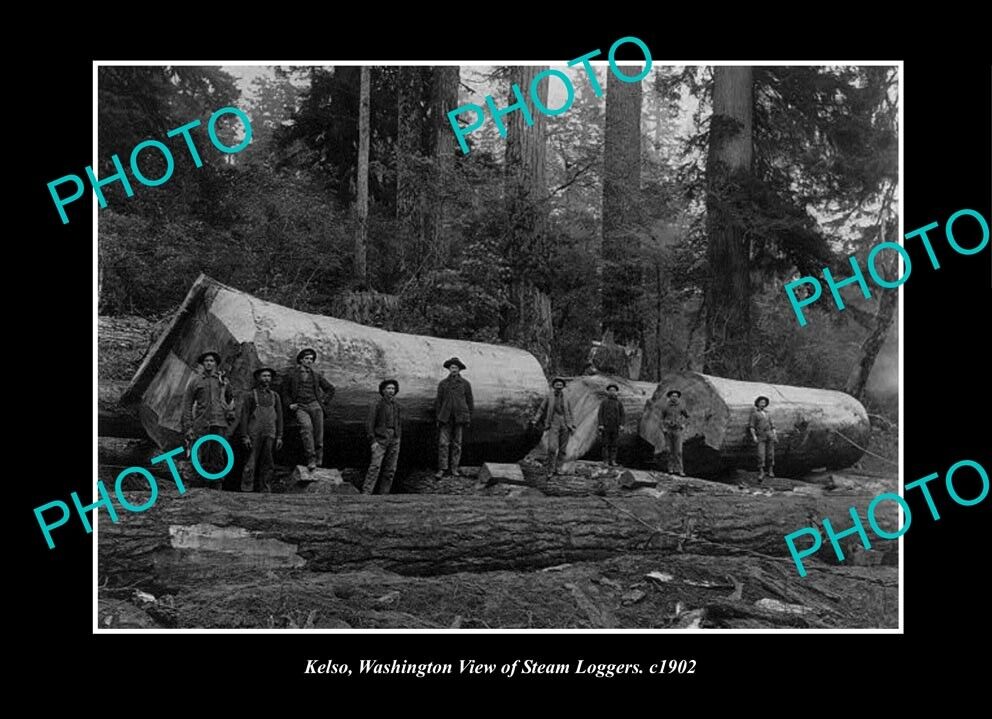 OLD POSTCARD SIZE PHOTO KELSO WASHINGTON, VIW OF THE STEAM LOGGERS c1902 1