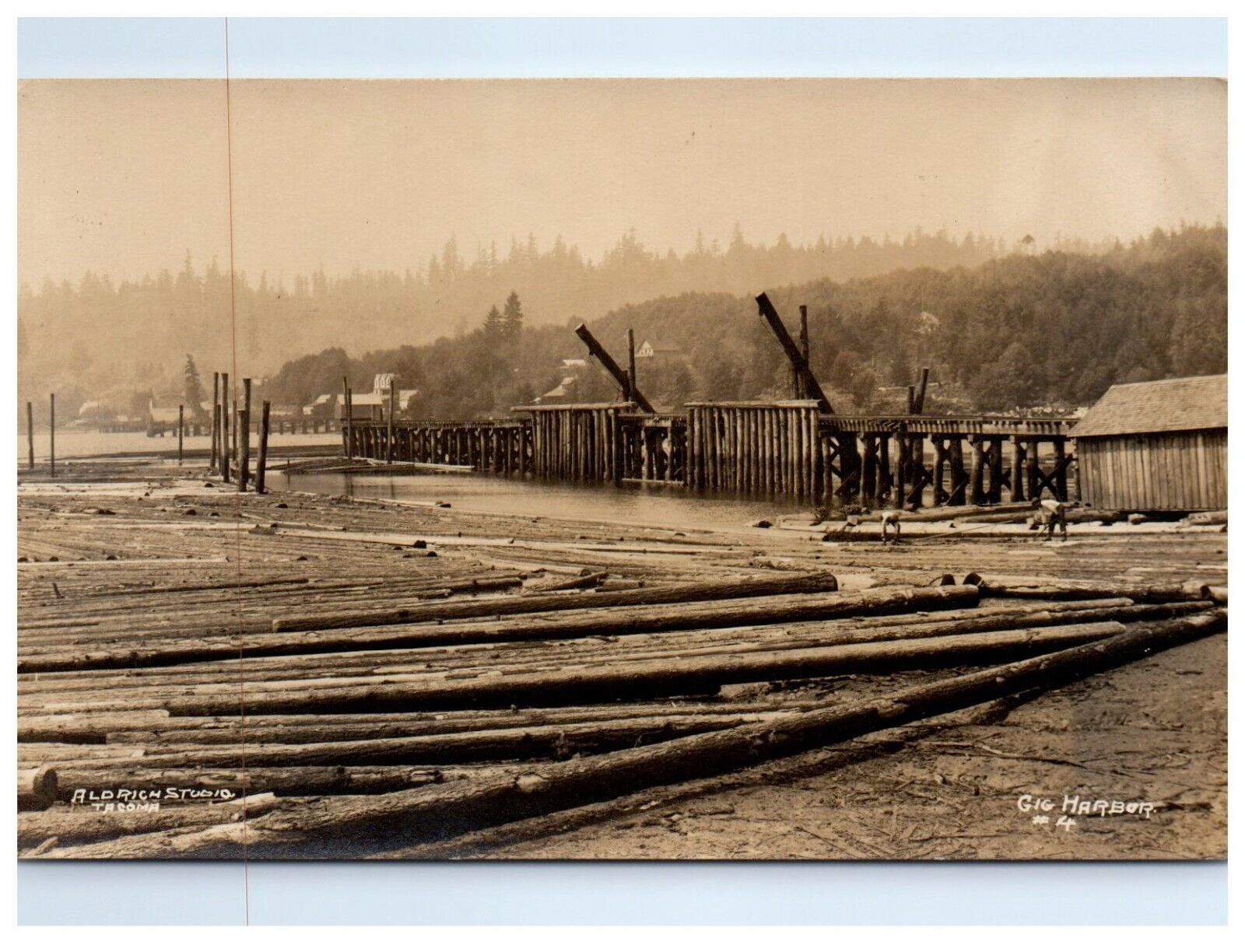 RPPC Gig Harbor Washington Logs in Water Logging Timber Industry c.1910 Postcard