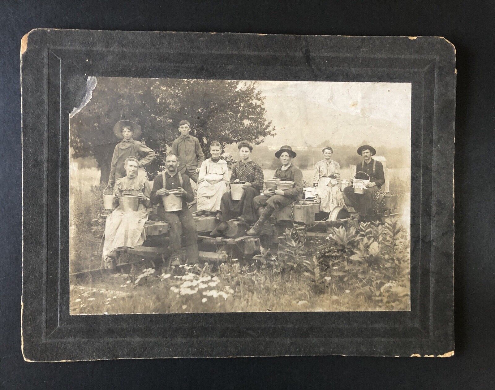 Antique 1880s -90s Berry Pickers Group Photo Farming Agriculture Workers