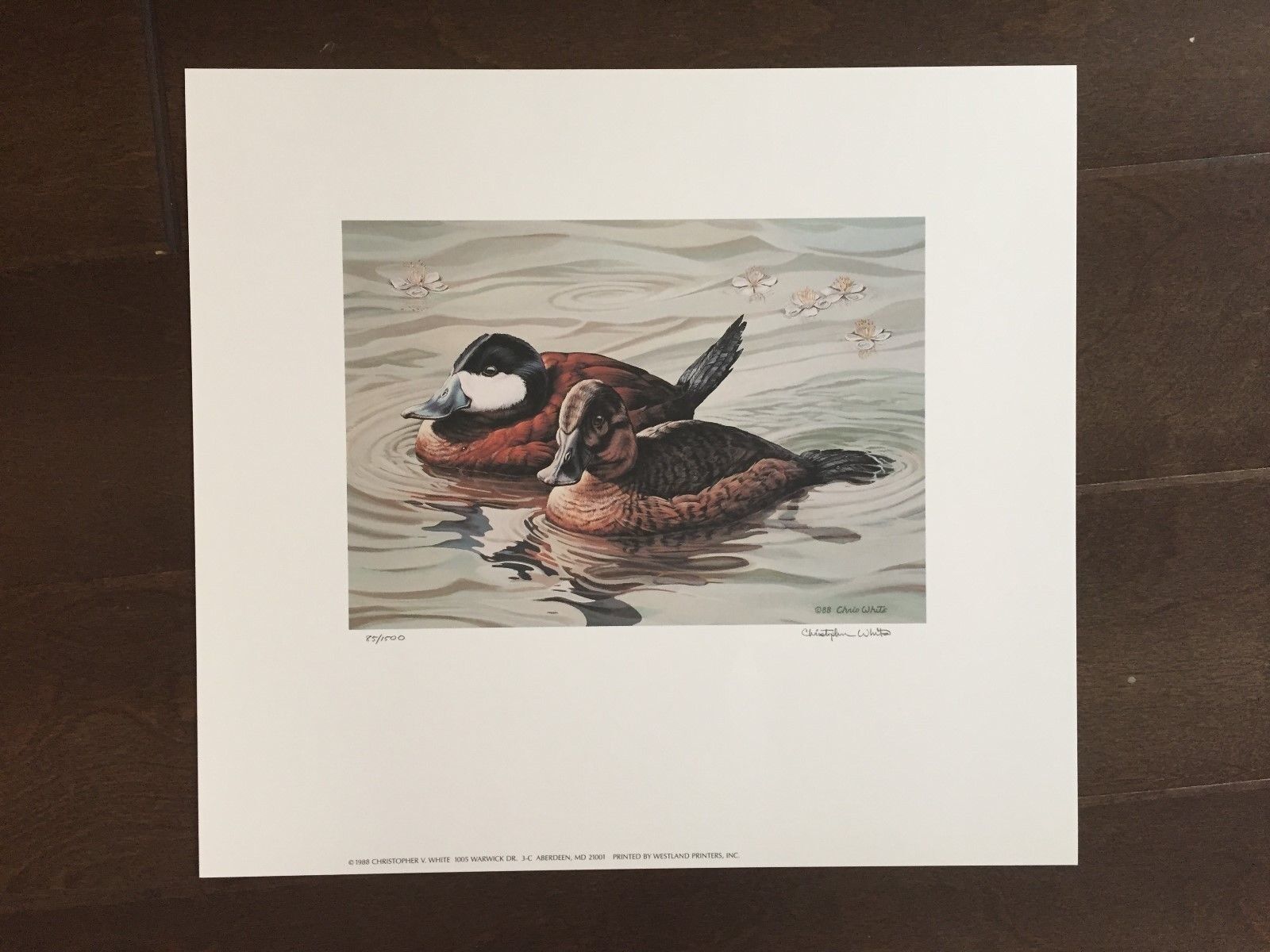 Maryland Migratory Fowl Color Print -Signed by Chistopher White -1988