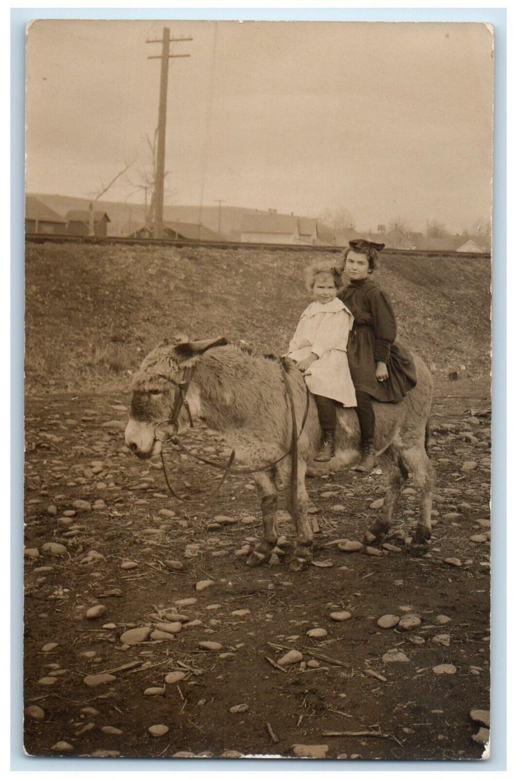 c1910's Little Girls Riding Mule Horse RPPC Photo Unposted Antique Postcard