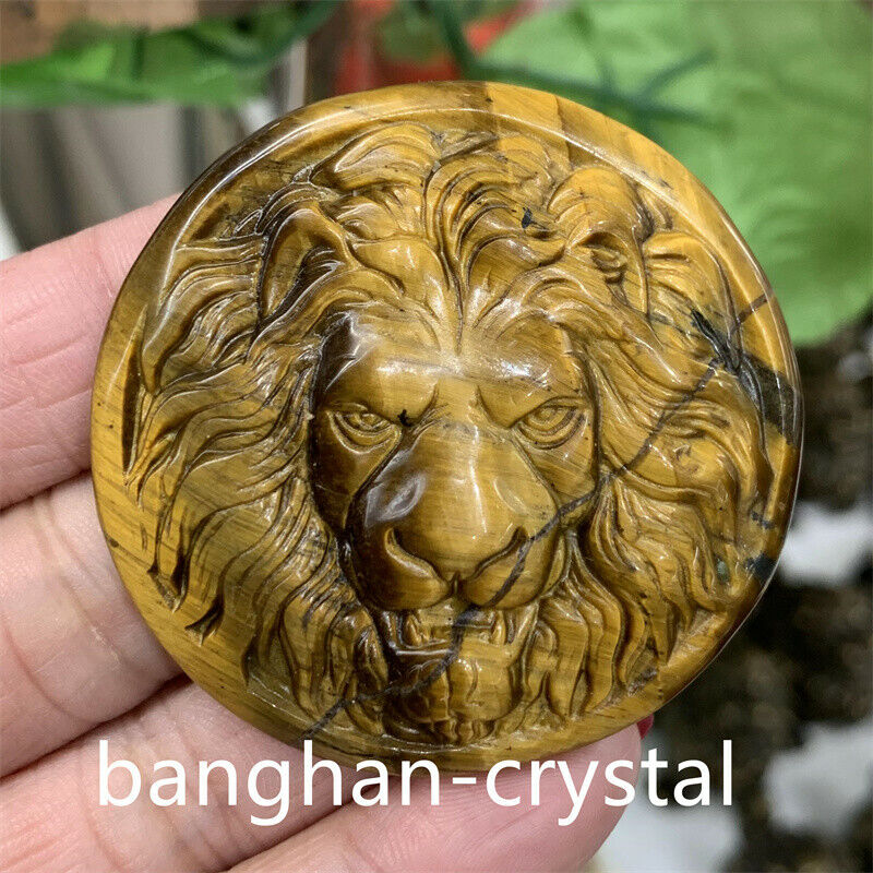 A++Natural Tiger\'s eye Quartz Hand Carved Lion Skull Crystal Reiki healing 1pc