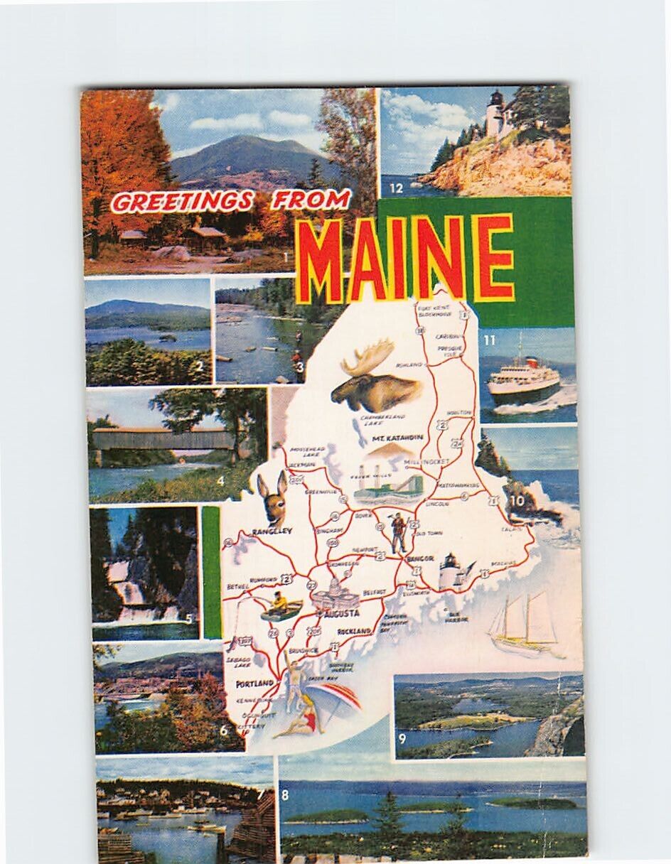 Postcard Greetings From Maine USA