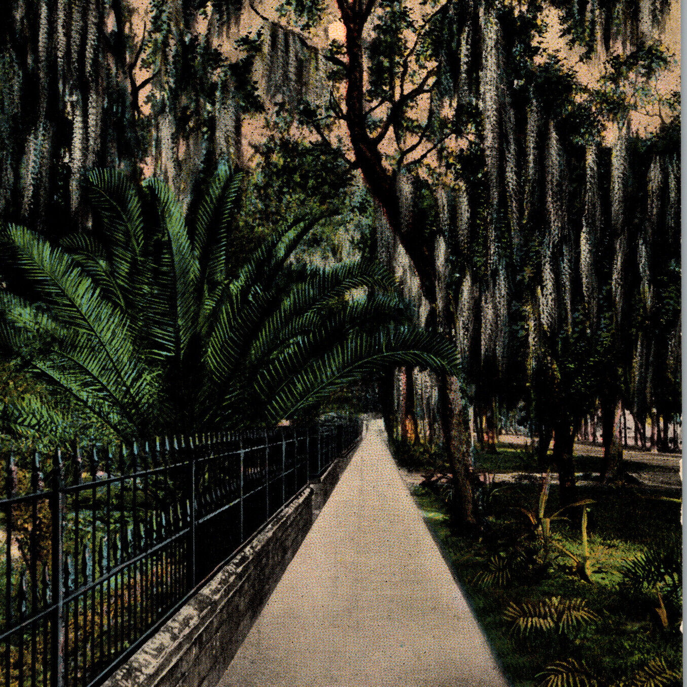 Vintage 1910s Ridgewood Avenue Daytona Florida Postcard
