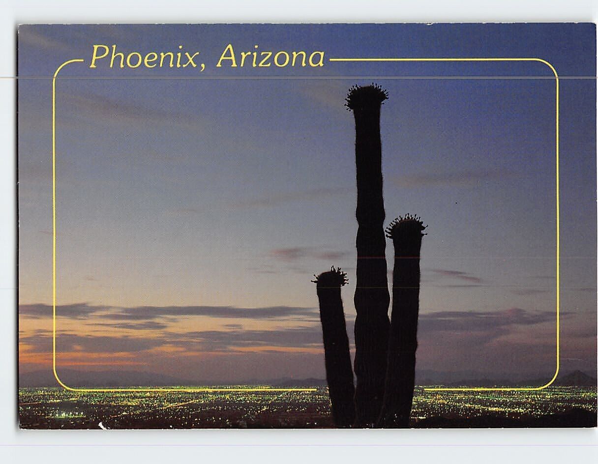 Postcard Saguaro Cactus Phoenix Arizona USA