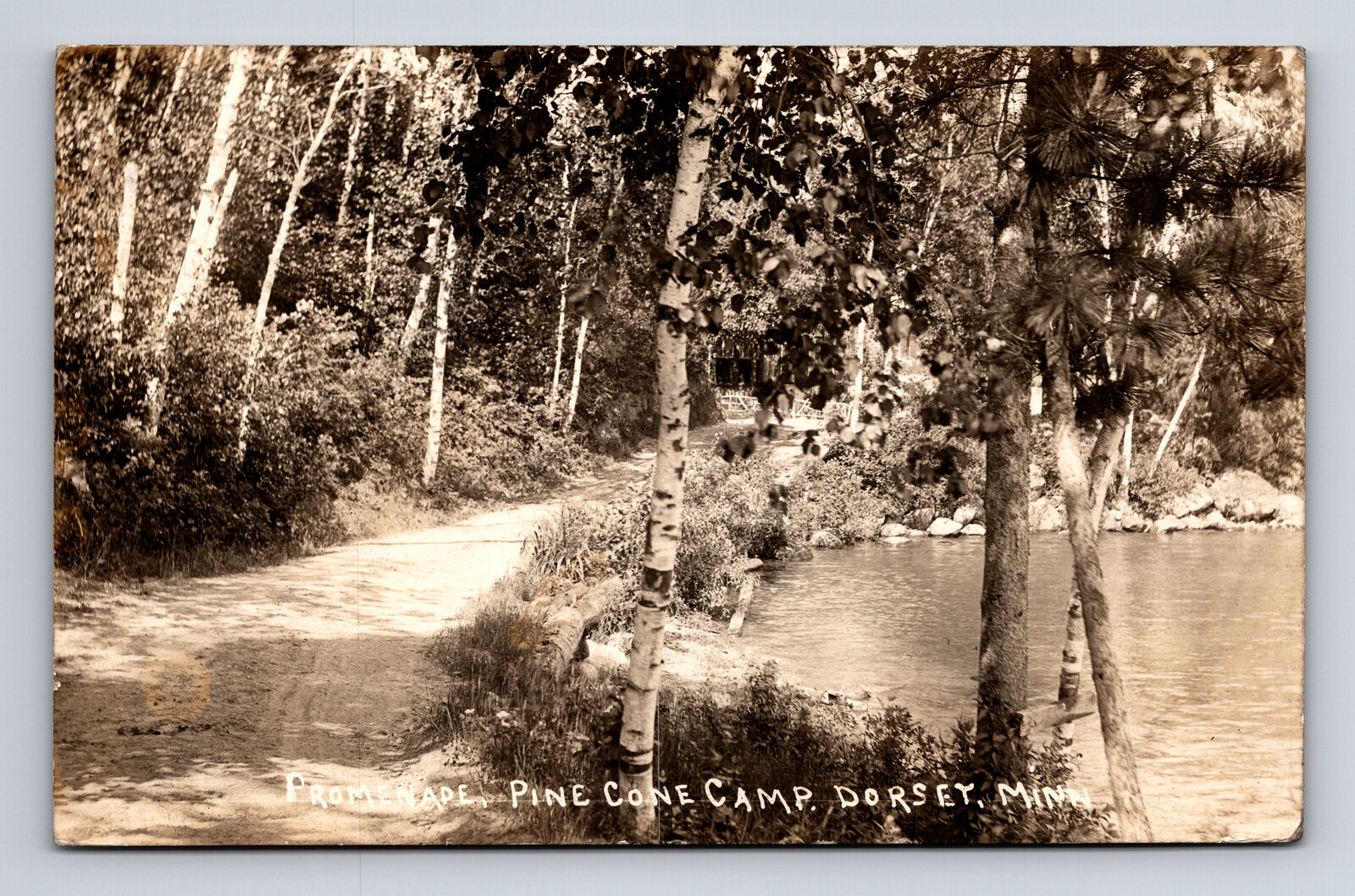 RPPC Pine Cone Camp Promenade Trail Road Dorset MN Postcard