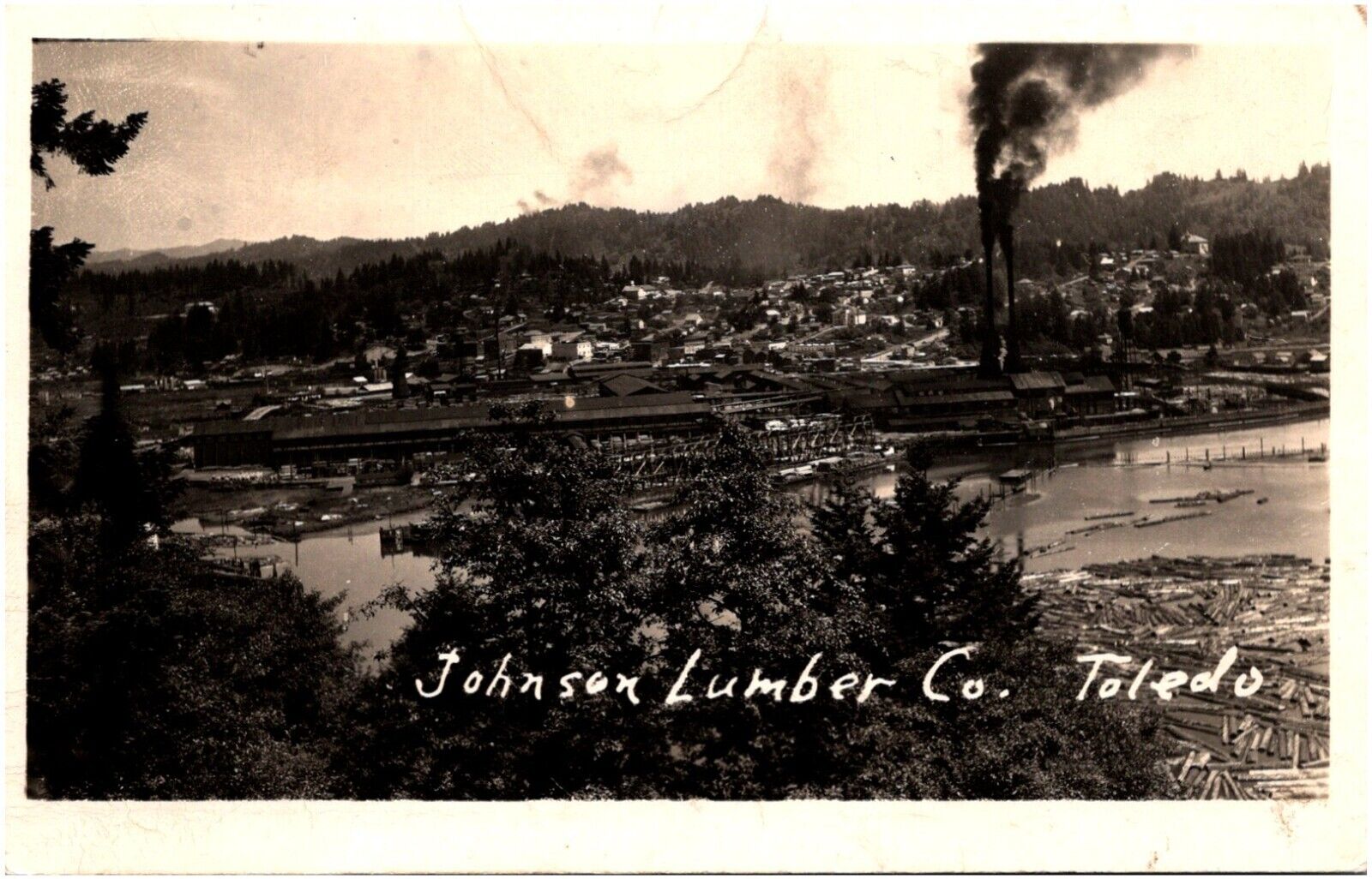 Johnson Lumber Company Mill in Toledo Oregon OR 1920s RPPC Postcard Photo
