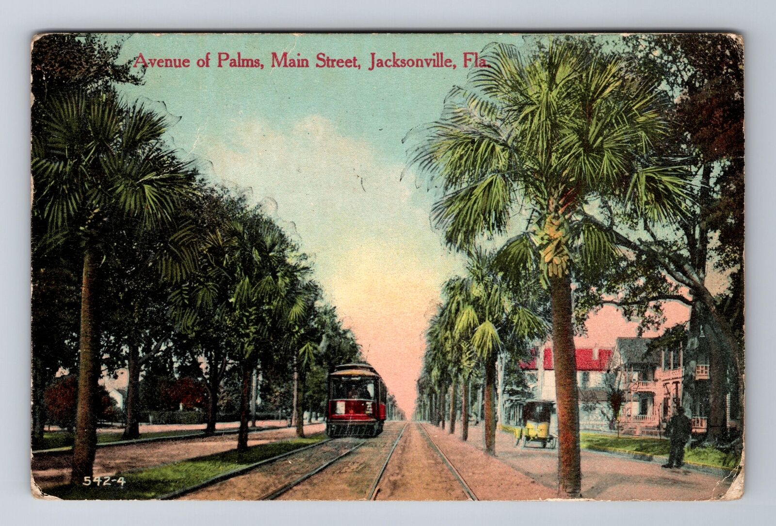 Jacksonville FL-Florida, Avenue Of Palms, Main Street, Vintage c1911 Postcard