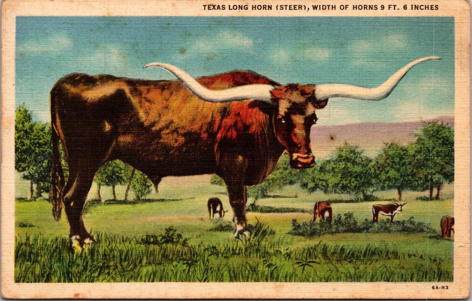 big Texas Long Horn Texas Linen Postcard F5