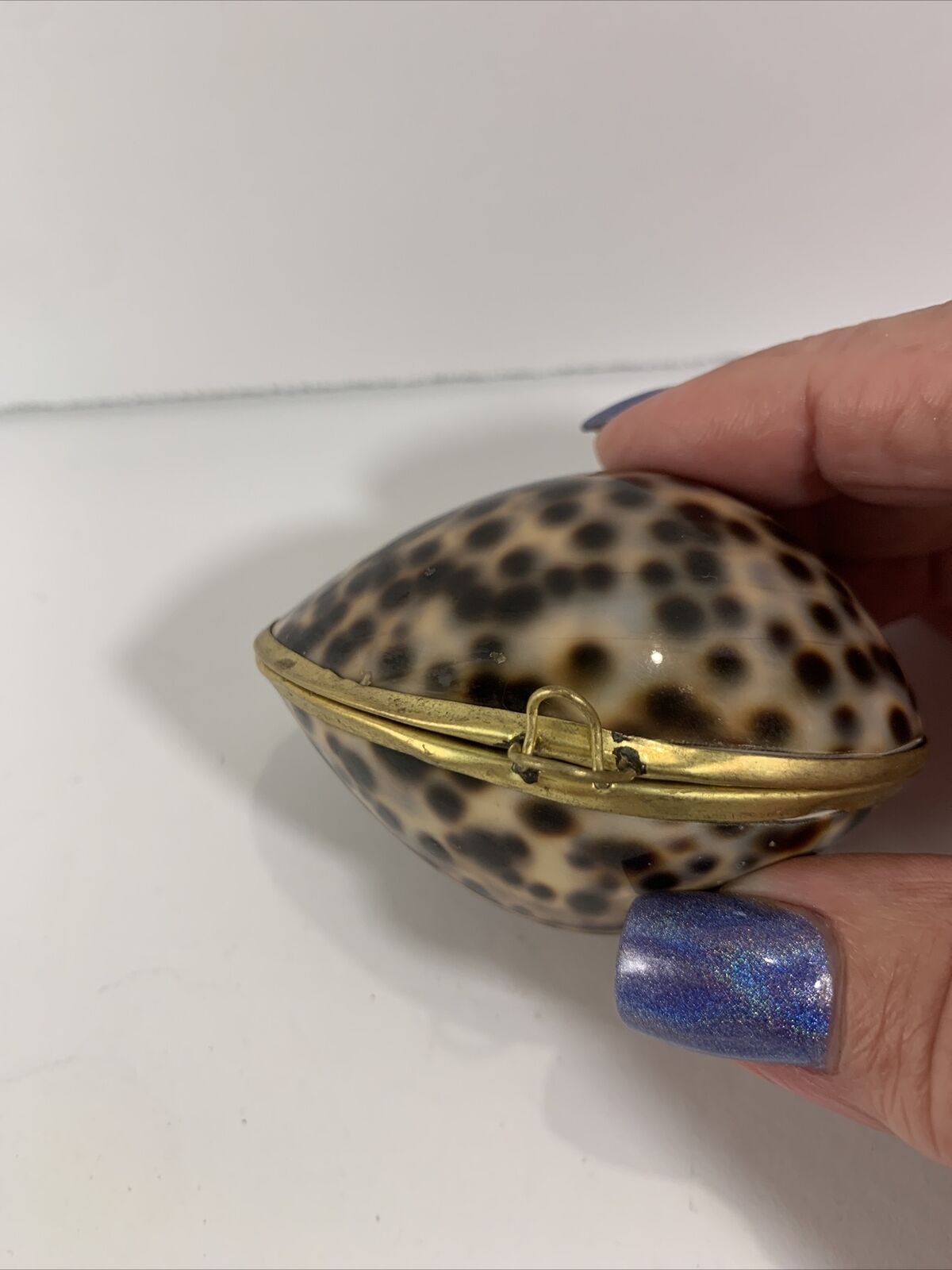 Vintage Genuine Cowrie Shell Trinket Box Brass Edges Clasp 3”~Coastal~Gift