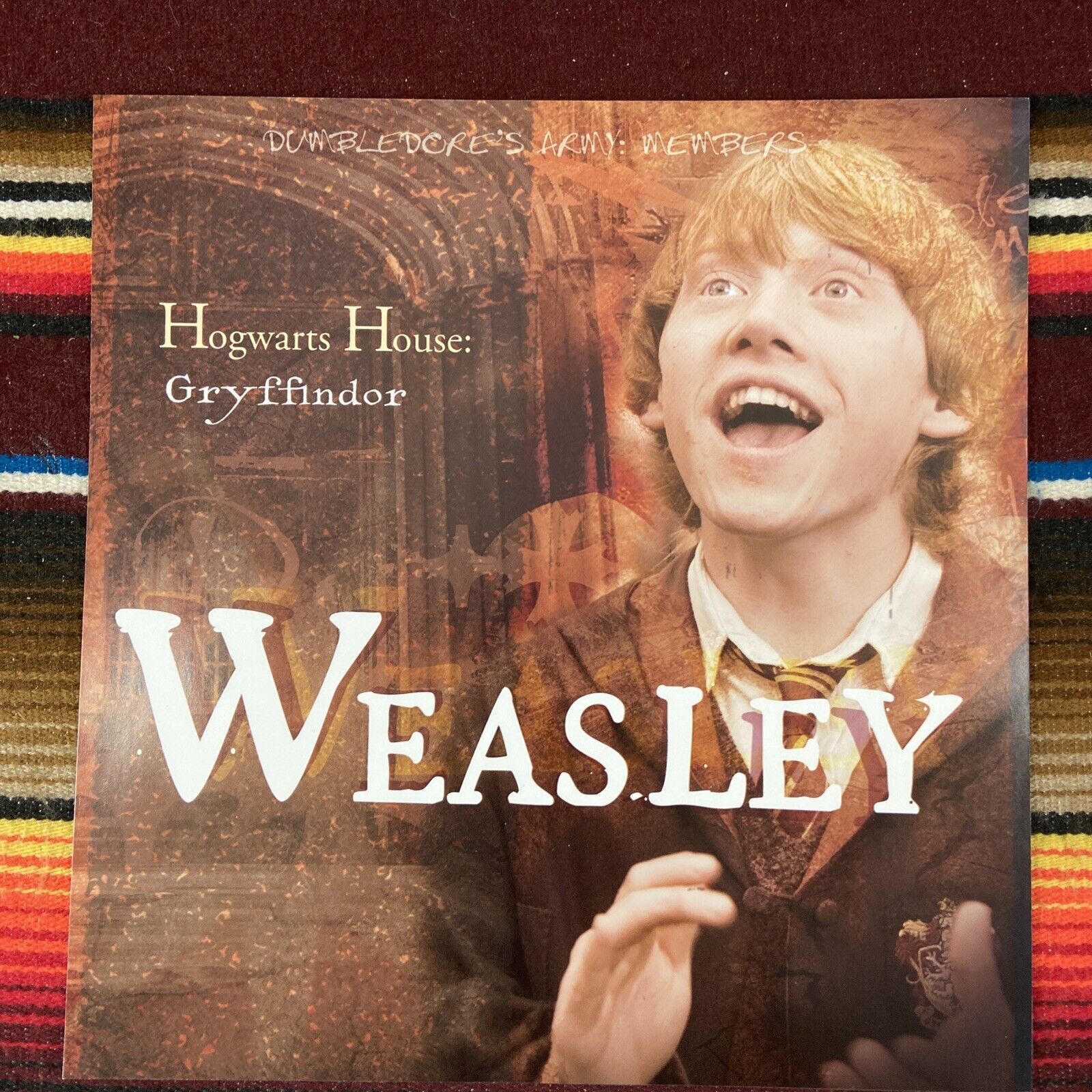Harry Potter Ron Weasley Hogwarts House Gryffindor Poster 9x10 Print