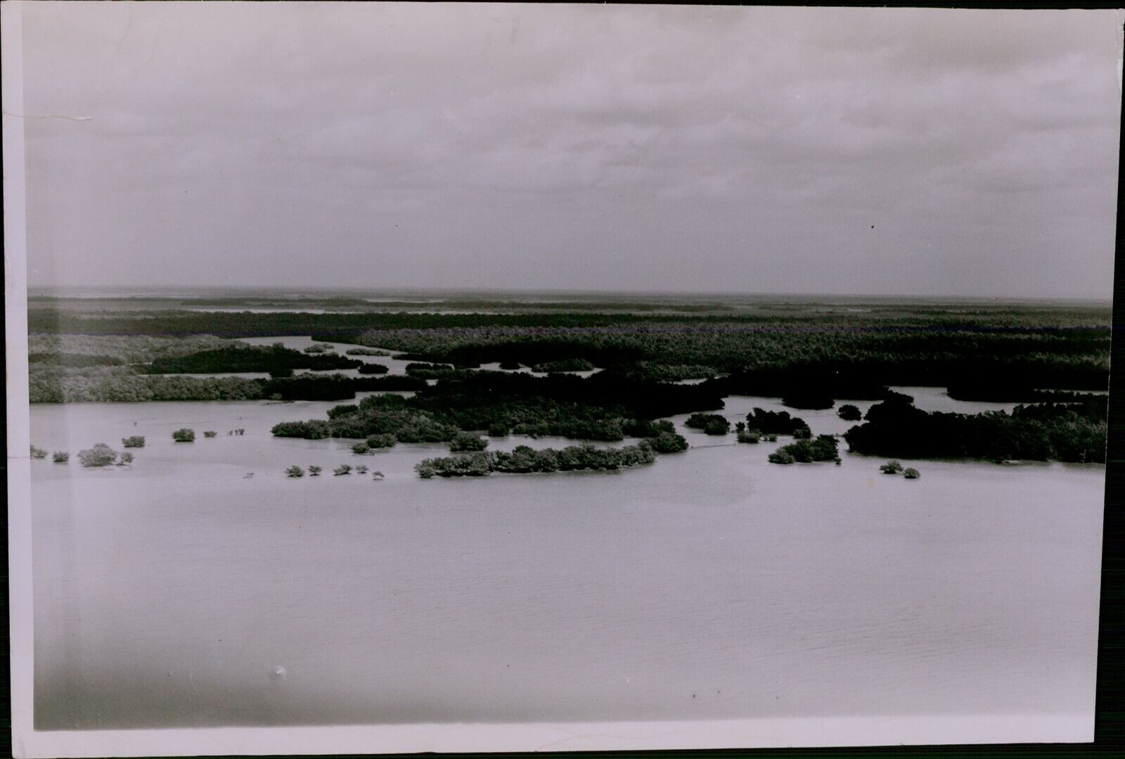 LG824 1948 Original Bob Verlin Photo CAPE SABLE FLORIDA Peaceful Scenic Nature