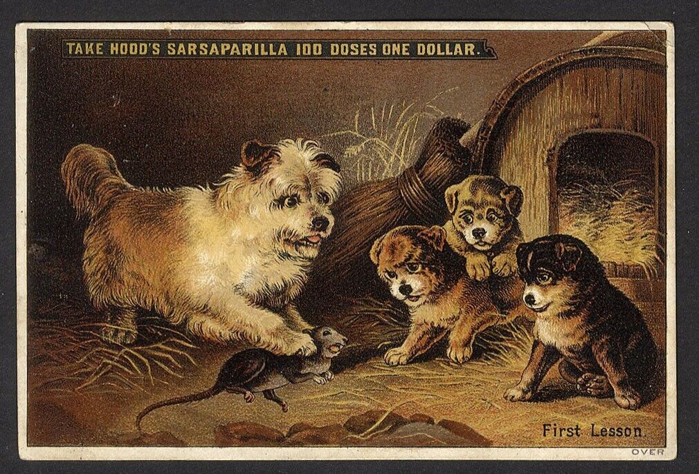 HOOD\'S SARSAPARILLA 1880\'s Victorian Trade Card MEDICAL QUACK CURE Catarrh