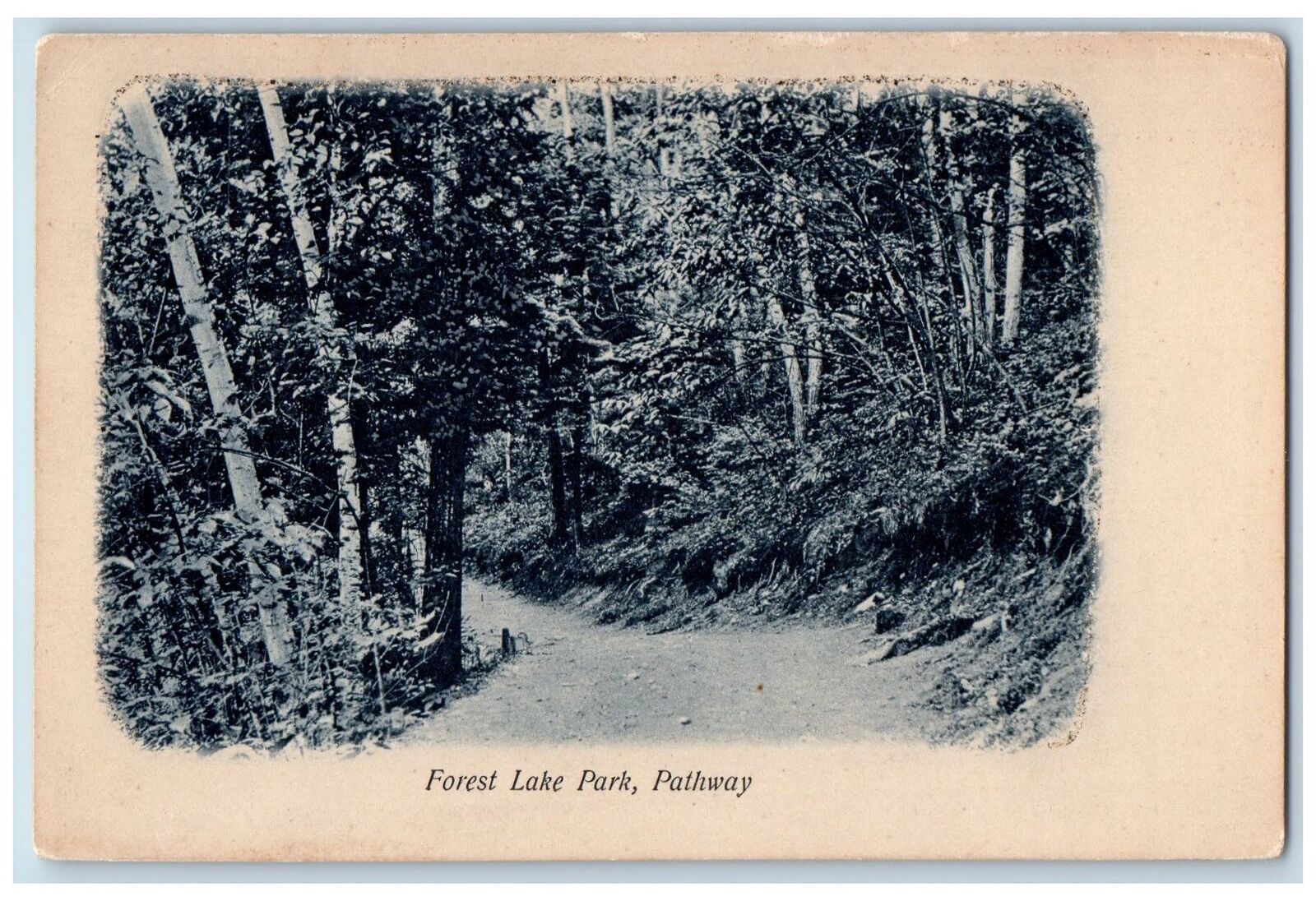 c1905\'s Forest Lake Park Pathway Scene Dalton New Hampshire NH Unposted Postcard