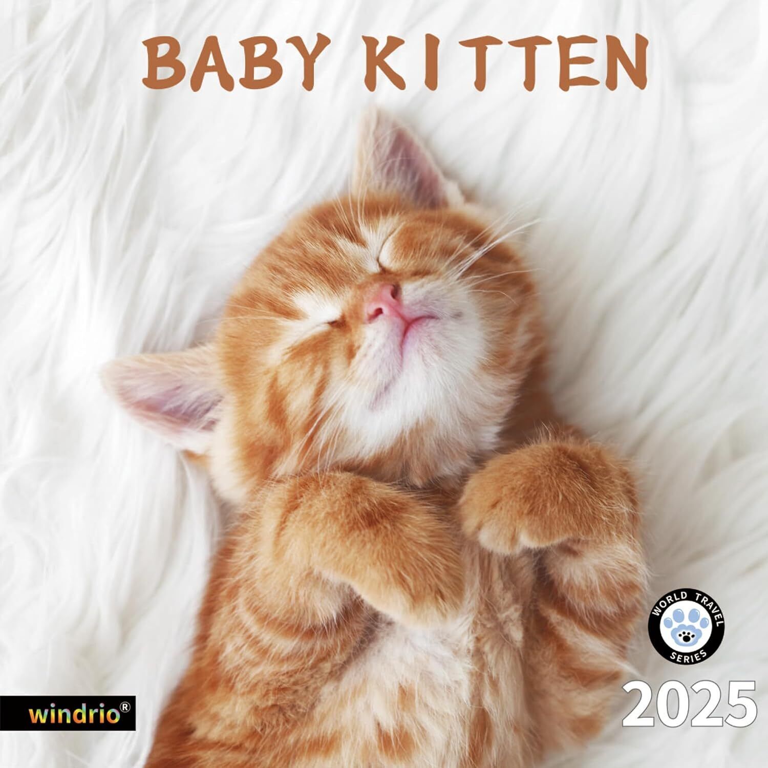 2024 2025 Wall Calendar, July 2024 - December 2025, Monthly Baby Kitten 