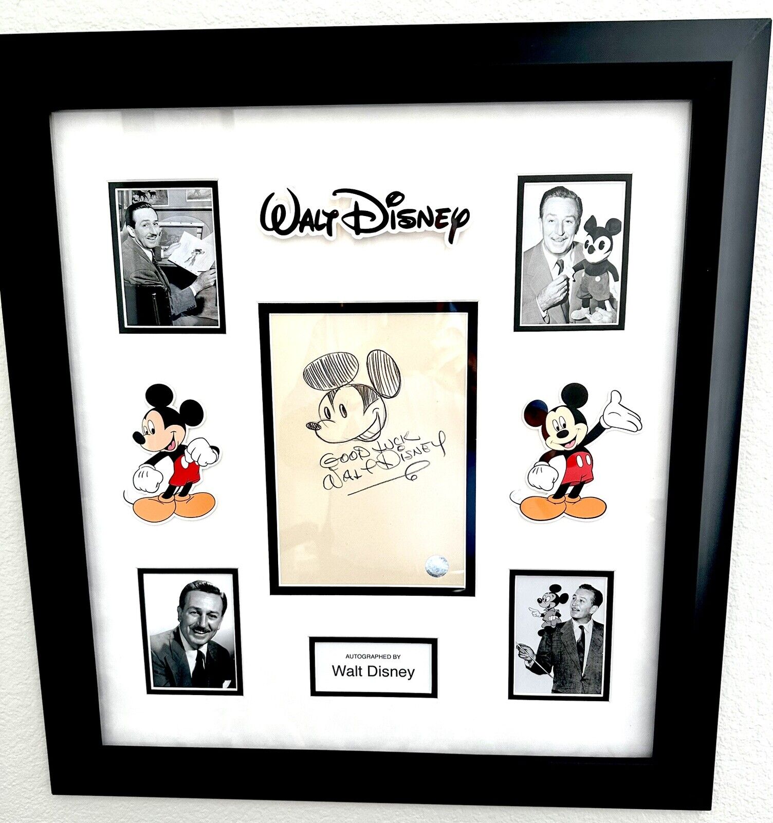 Walter Disney Original Signature Autograph. Beautiful Framing, Rare, COA