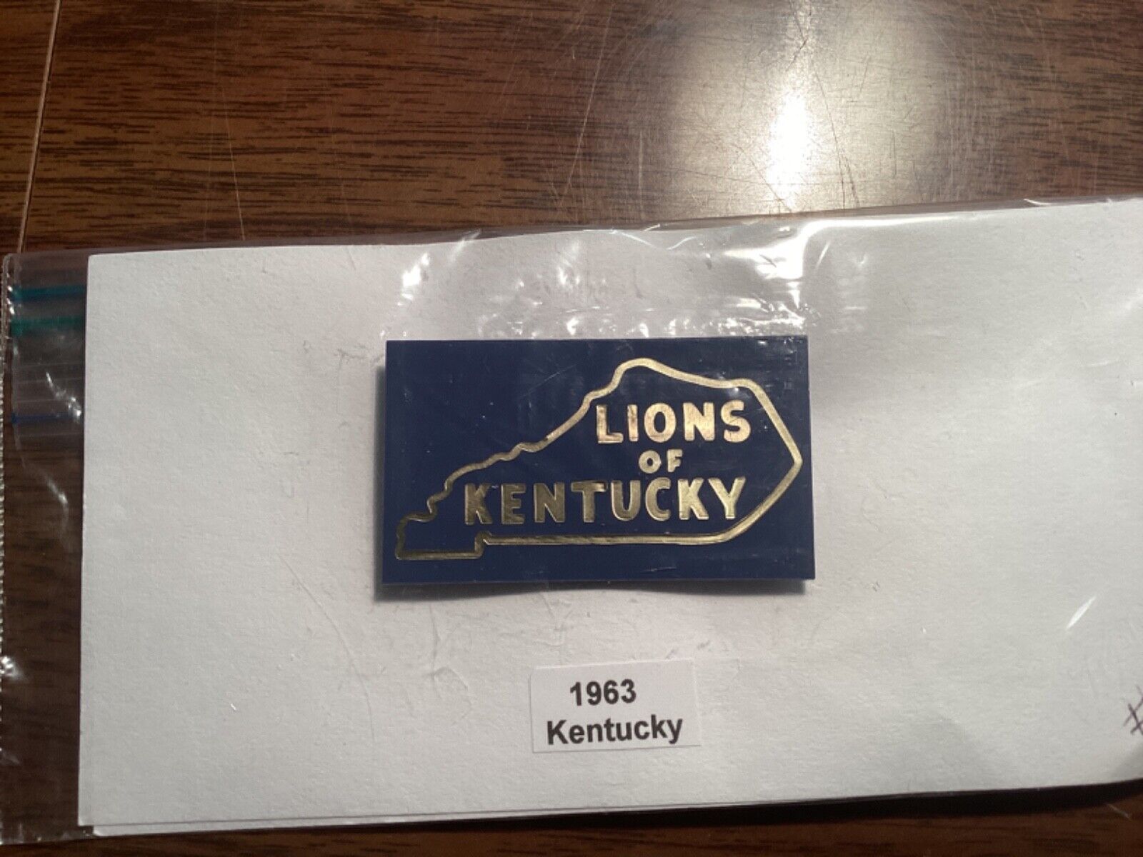 Lions Club Pins - Kentucky 1963 Plastic