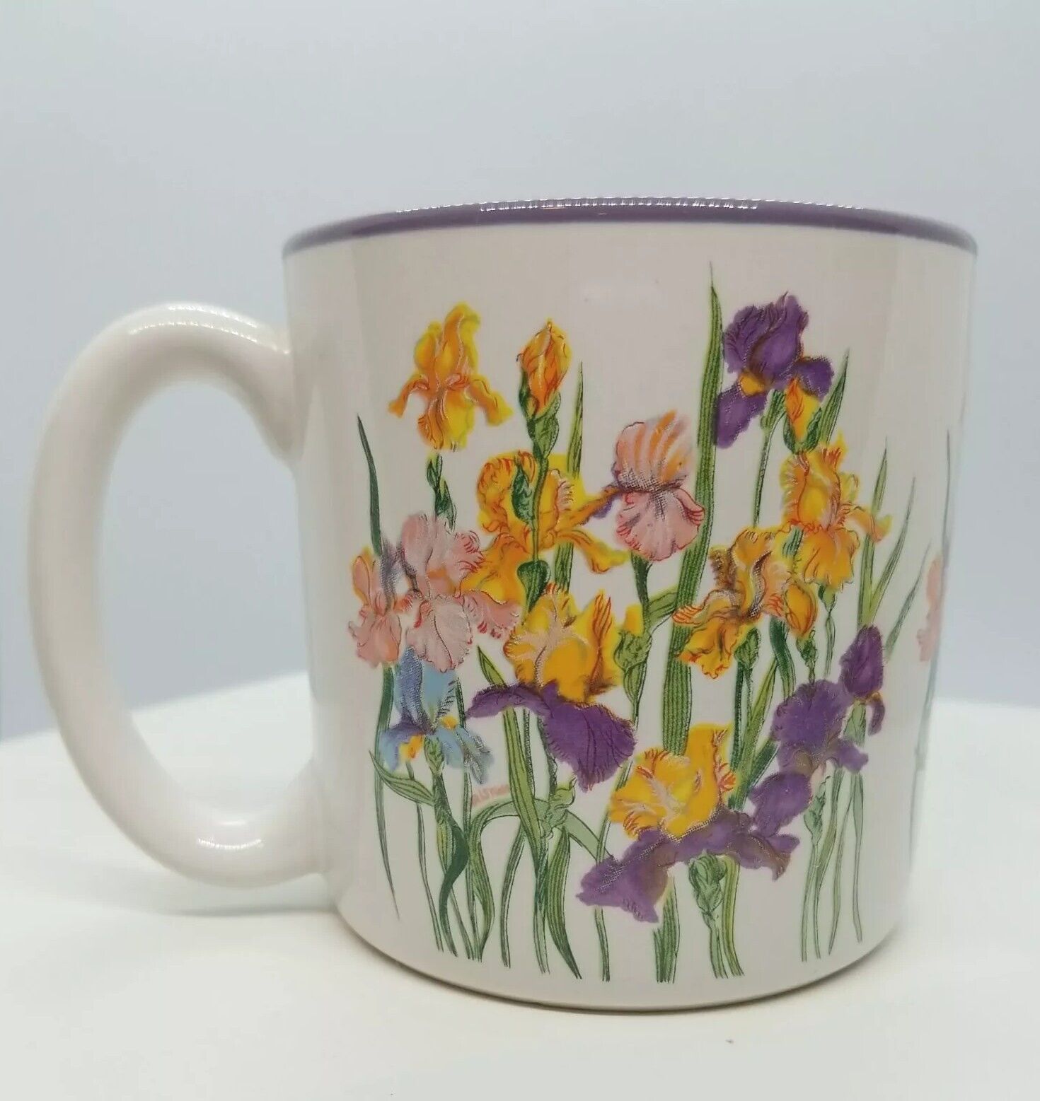 Vintage Irises Coffee Mug - Potpourri Press 1988 Floral Purple Inside 11oz Korea