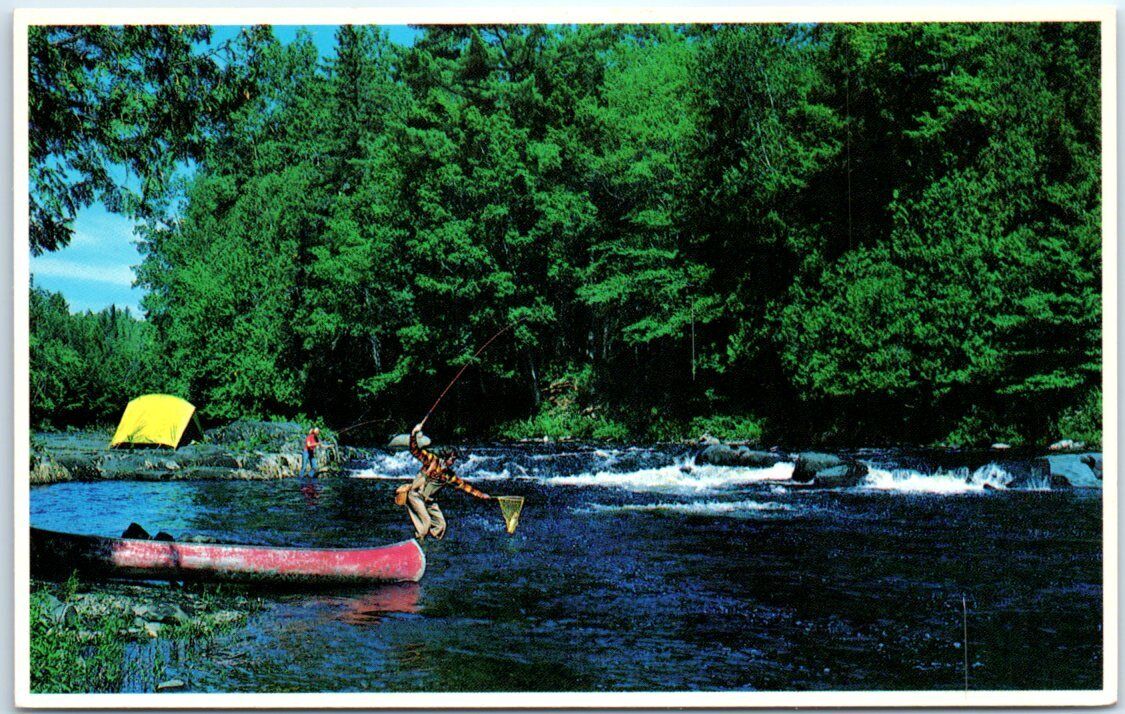 Postcard - Maine Vacationland