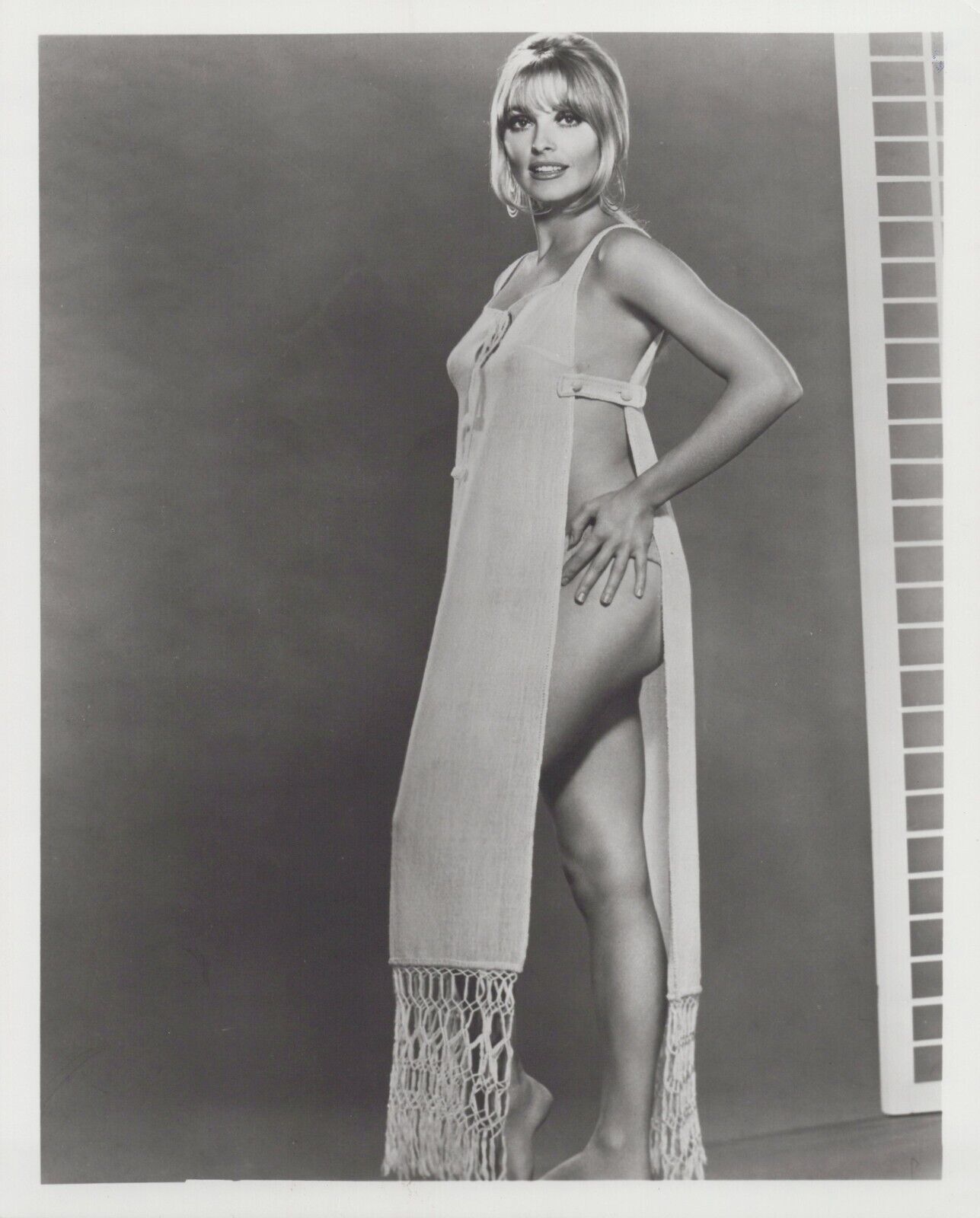 Sharon Tate (1960s) ⭐❤  Sexy Leggy Cheesecake - Alluring Seductive Photo K 208