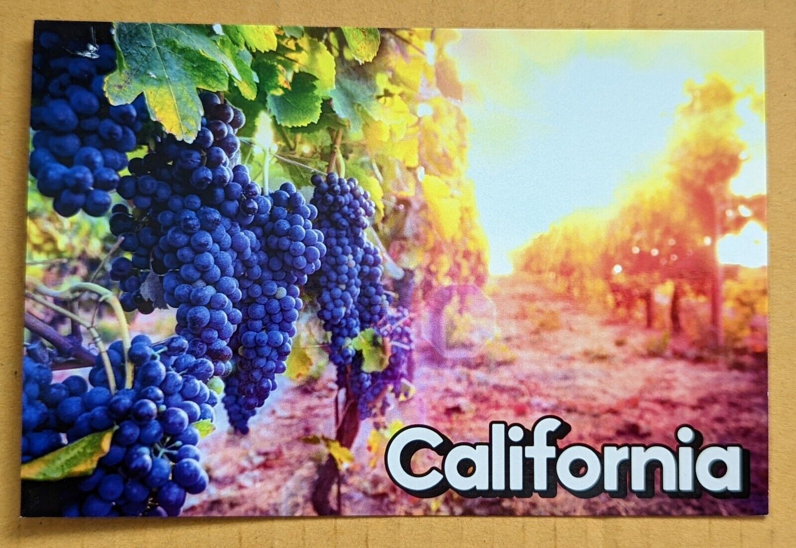 Postcard CA. Vineyard. Beautiful California 