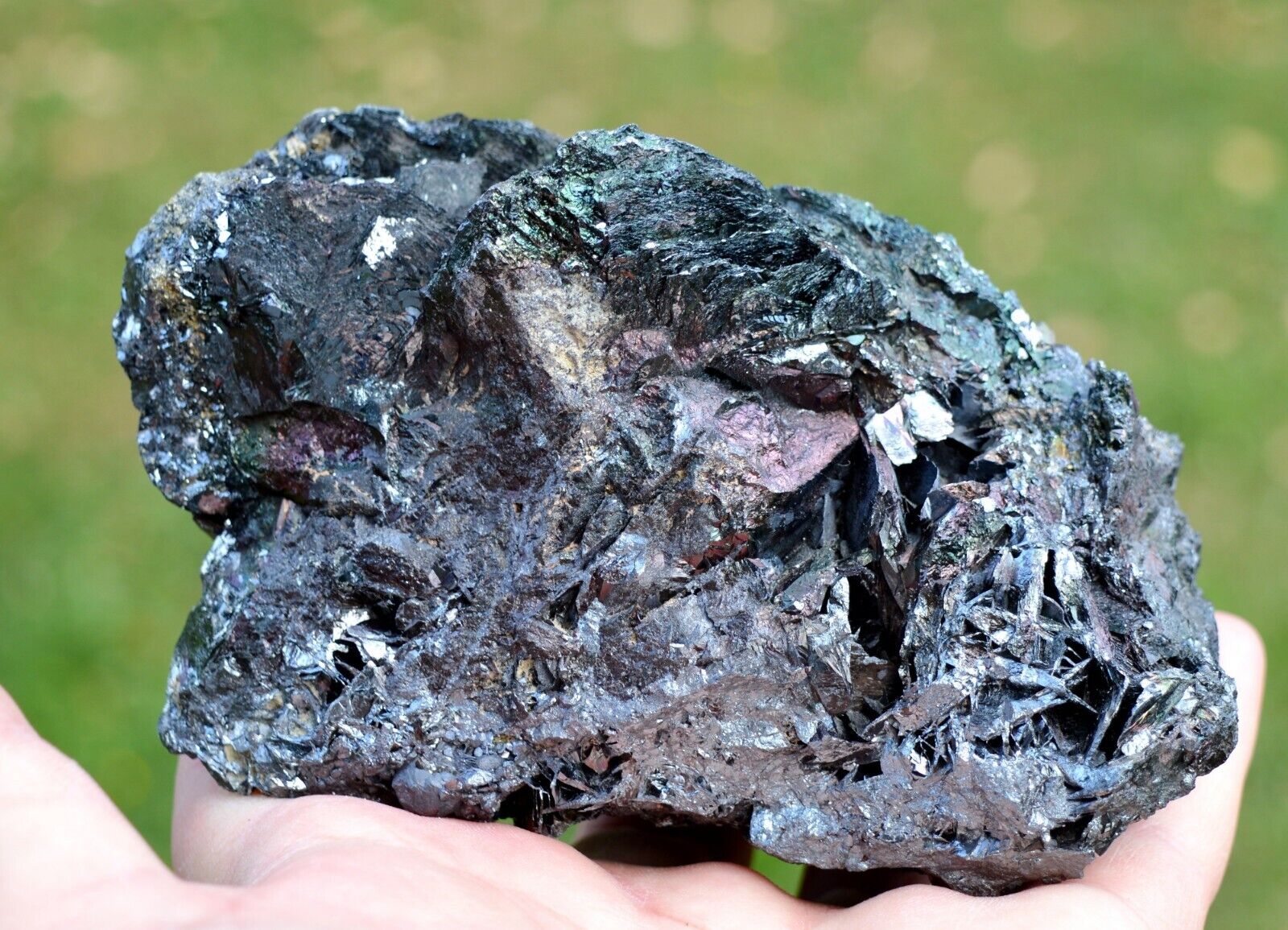 Iridescent Hematite 1444 grams - Elba Island, Livorno Province, Tuscany, Italy