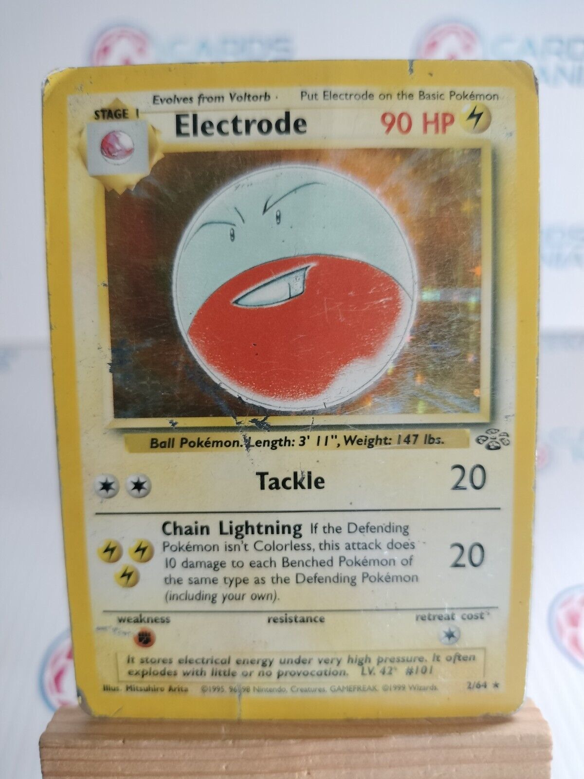 Pokémon TCG Electrode Jungle 2/64 Holo Unlimited Holo Rare (21)