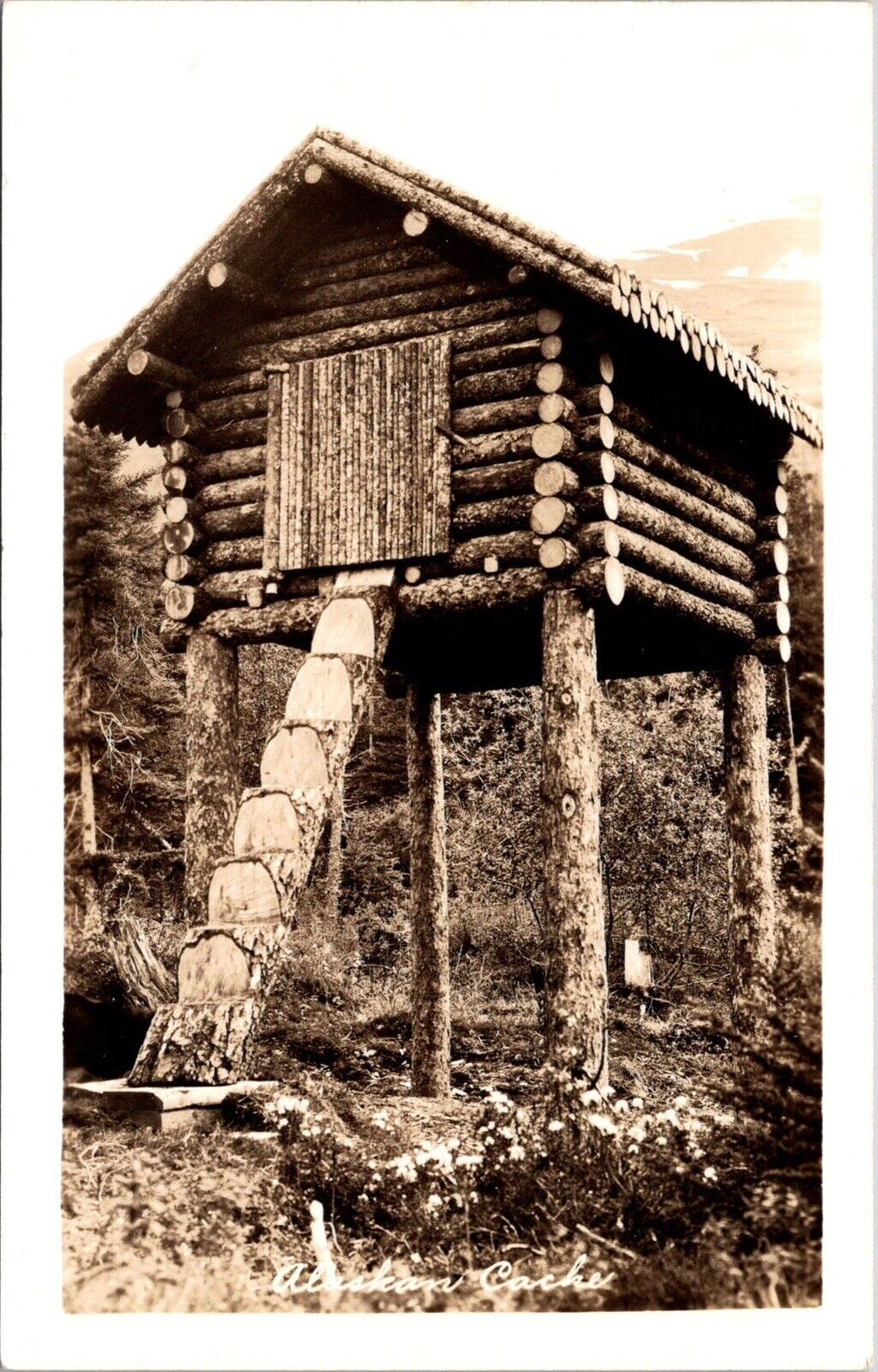 Vtg 1930s RPPC Postcard Food Cache Elevated Log Cabin Fort Yukon Alaska Unposted
