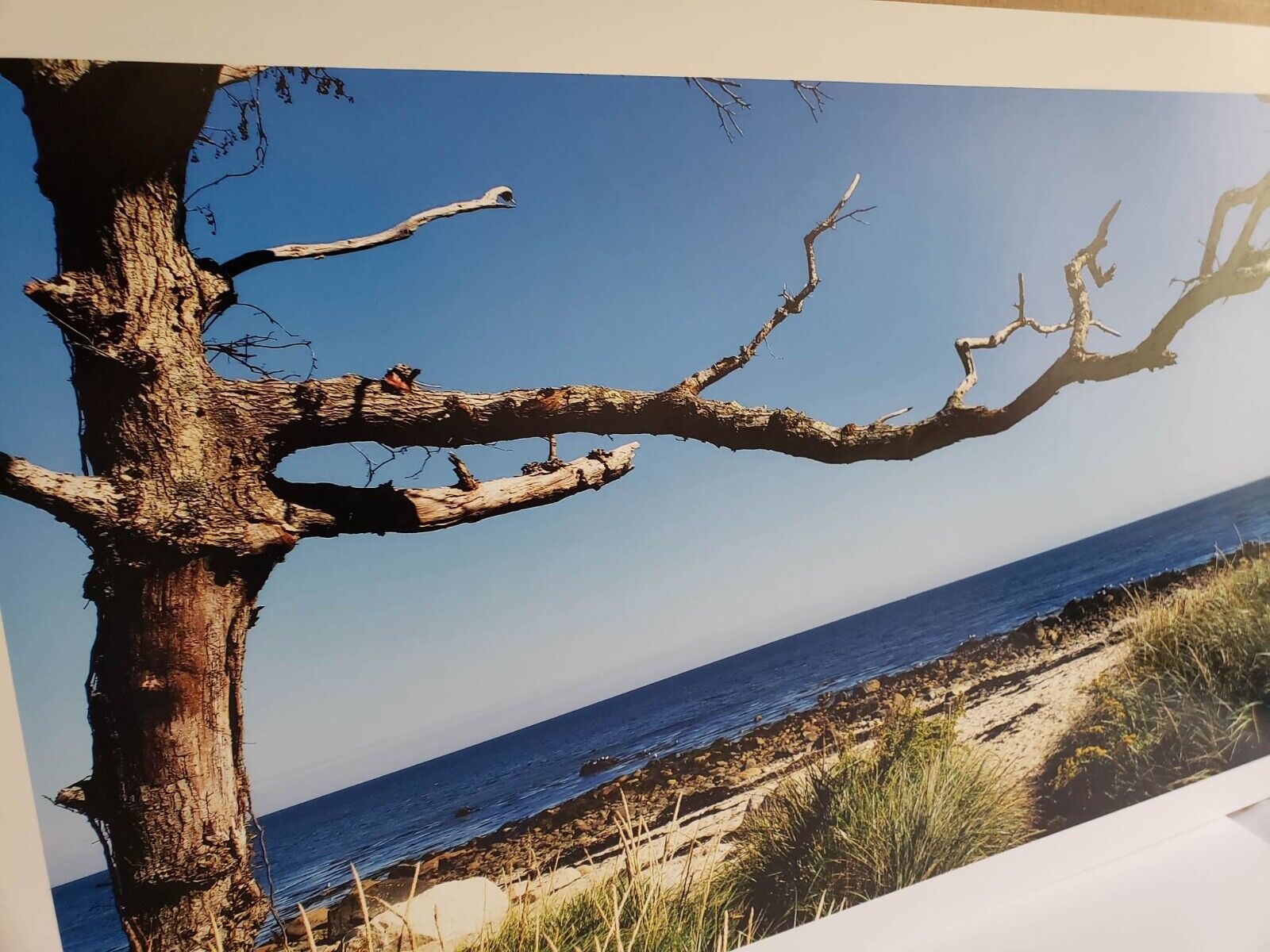 Secluded Shoreline Photo Print w/ High Quality Paper and Backing (23.3x14)