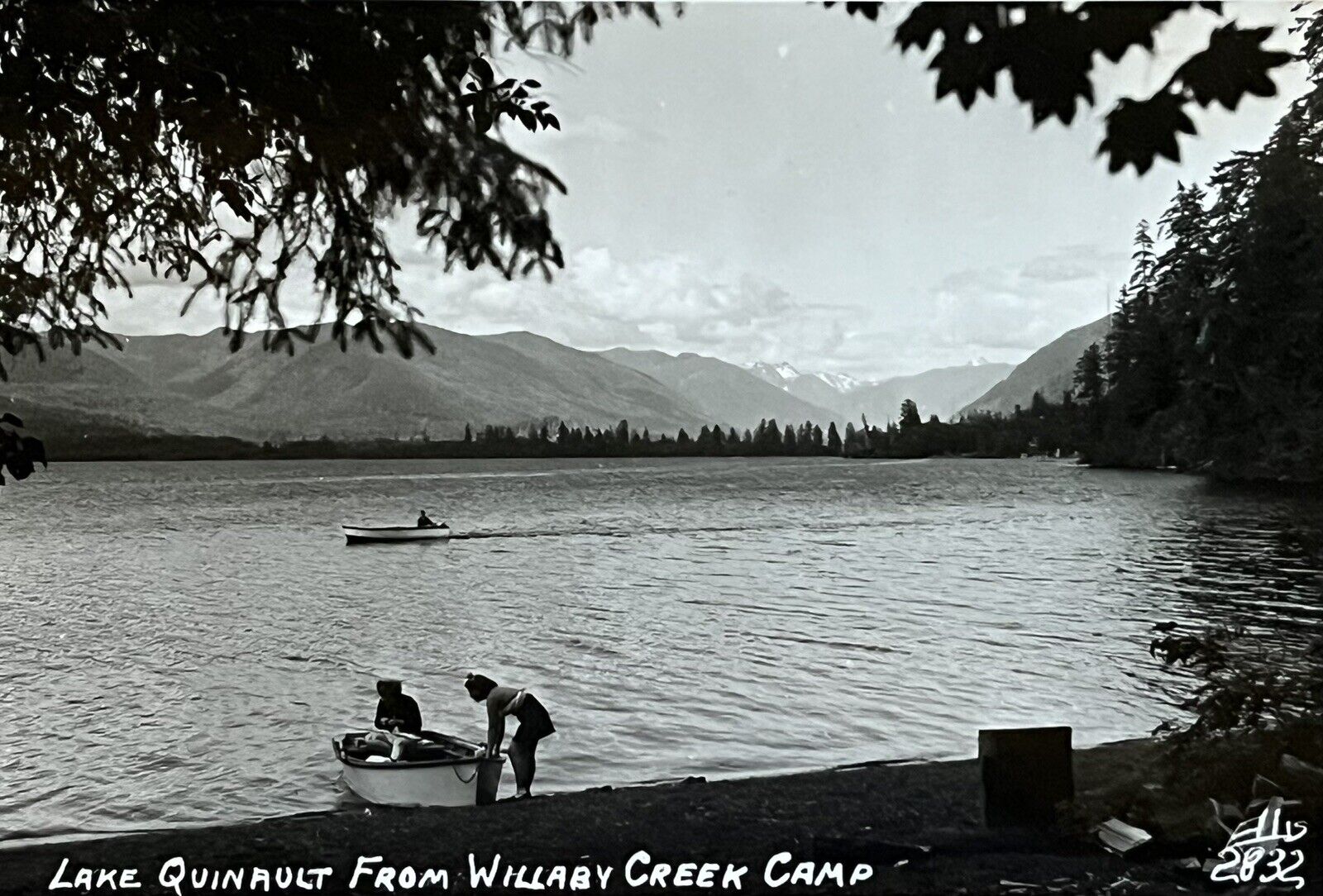 Lake Quinault From Willaby Creek Camp, WA Antique Real Photo Postcard RPPC