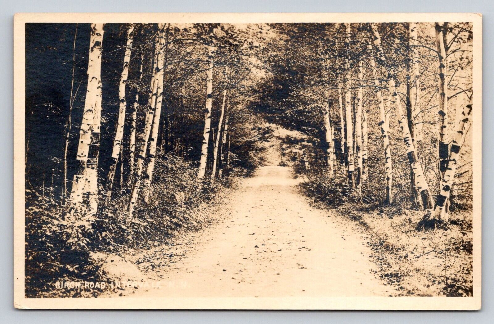 RPPC  Dirt Road Intervale New Hampshire Real Photo  P767