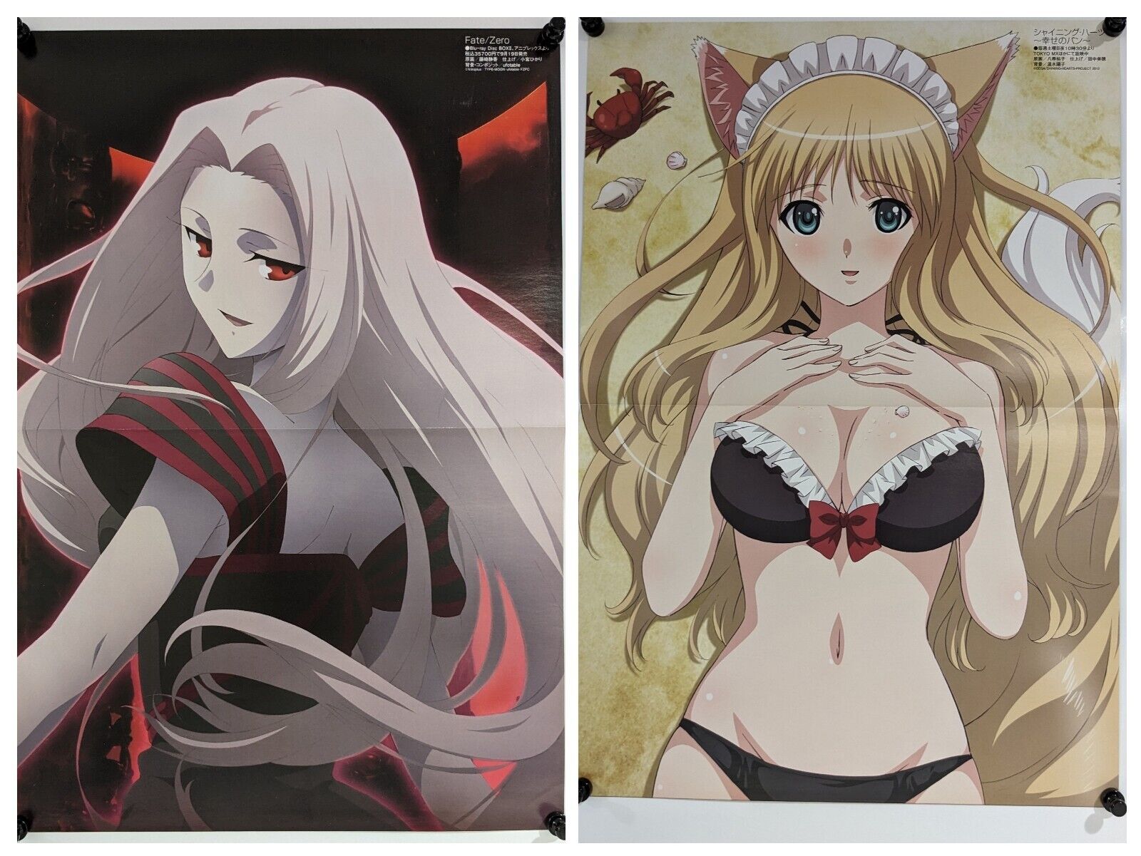 Fate/Zero Irisviel / Shining Heart Double Sided Promo Anime Poster OOP