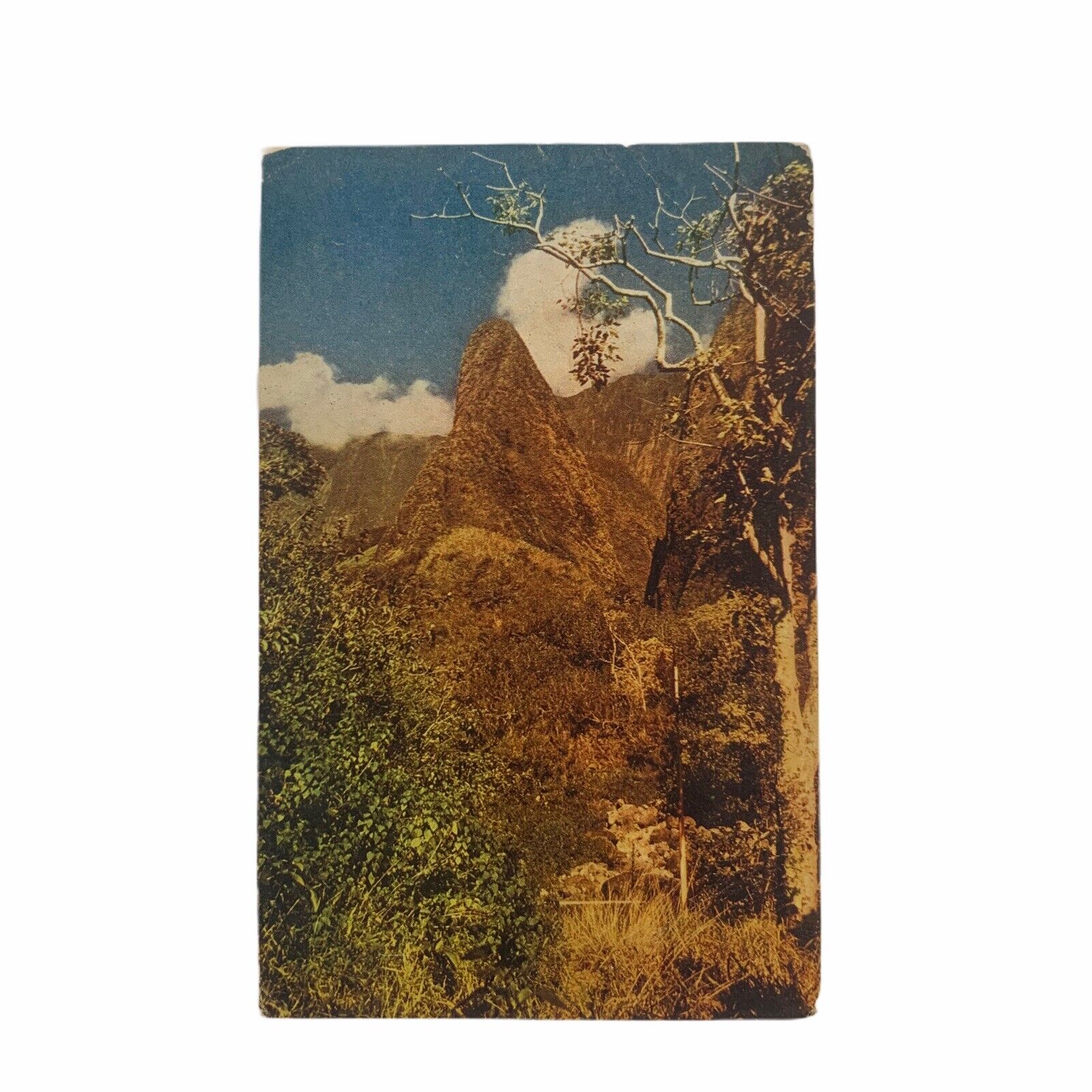 Vintage Postcard Scenic View Mountain (Never Used)