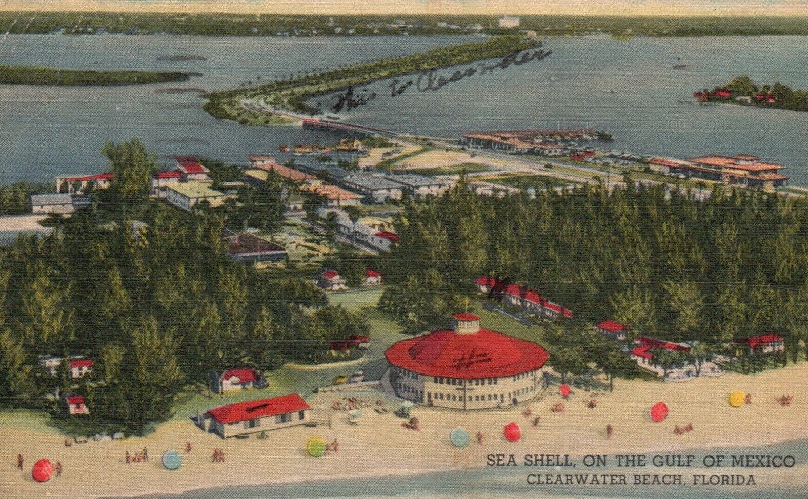 Postcard FL Clearwater Beach Sea Shell Hotel Cottages 1956 Vintage PC H6477
