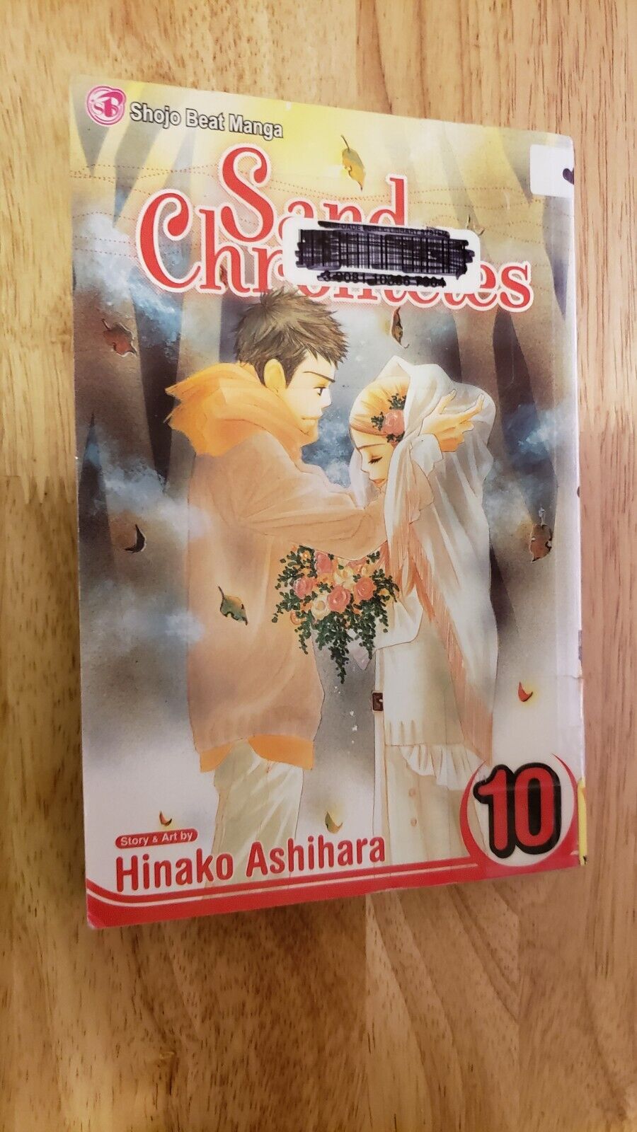 Sand Chronicles Volume 10 Hinako Ashihara English Manga Viz Shojo Beat OOP Rare