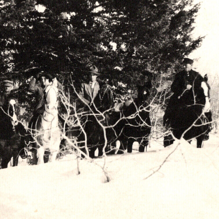 Vintage 1910s RPPC Elk Hunting On Horses Warm River Postcard Idaho