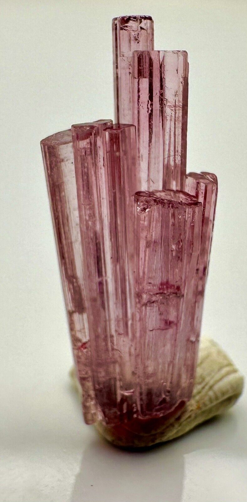 Beautiful Dt Pink Tourmaline Spray Shape Crystal From @afg