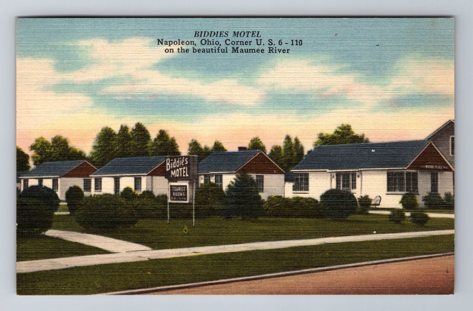 Napoleon OH-Ohio, Biddies Motel, Advertising, c1952 Antique Vintage Postcard