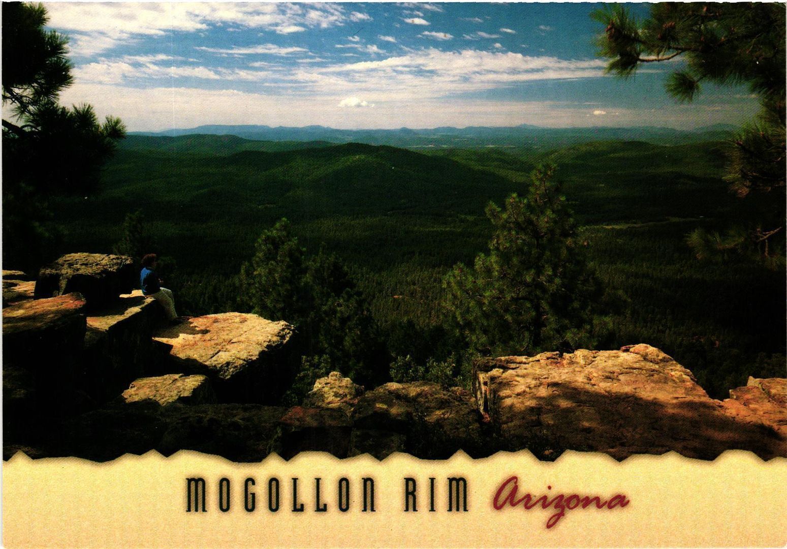 Vintage Postcard 4x6- Mogollon Rim, AZ 1960-80s