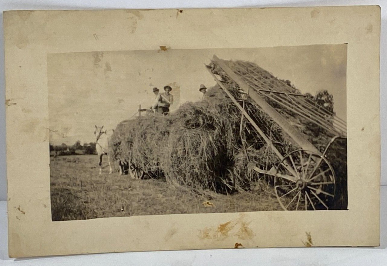 Vintage c1919 RPPC Postcard B&W WWI Era 3 Farmers Cutting Hay w/horse & Farming