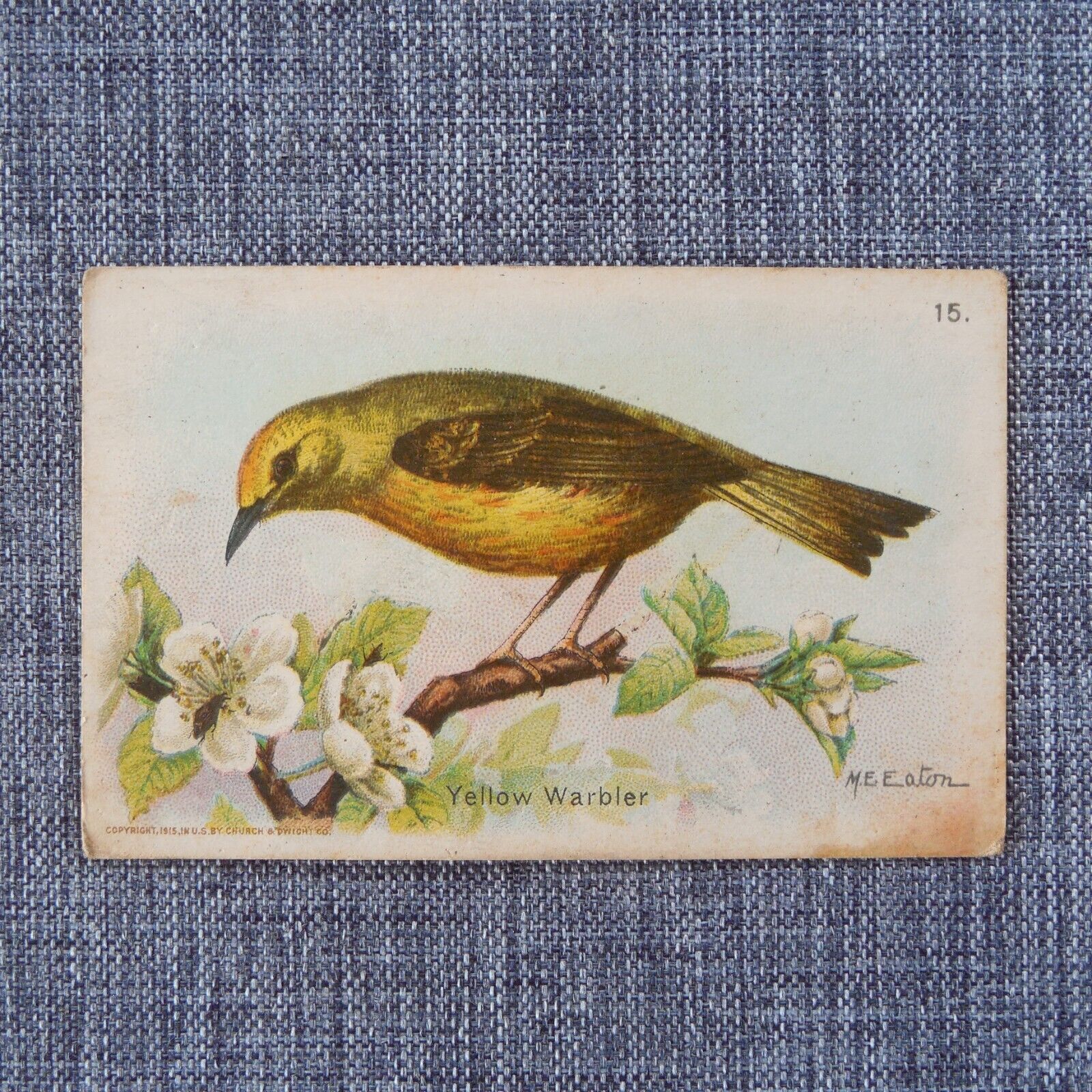 YELLOW WARBLER #15 Arm & Hammer Useful Birds of America Fifth Series Card 1933
