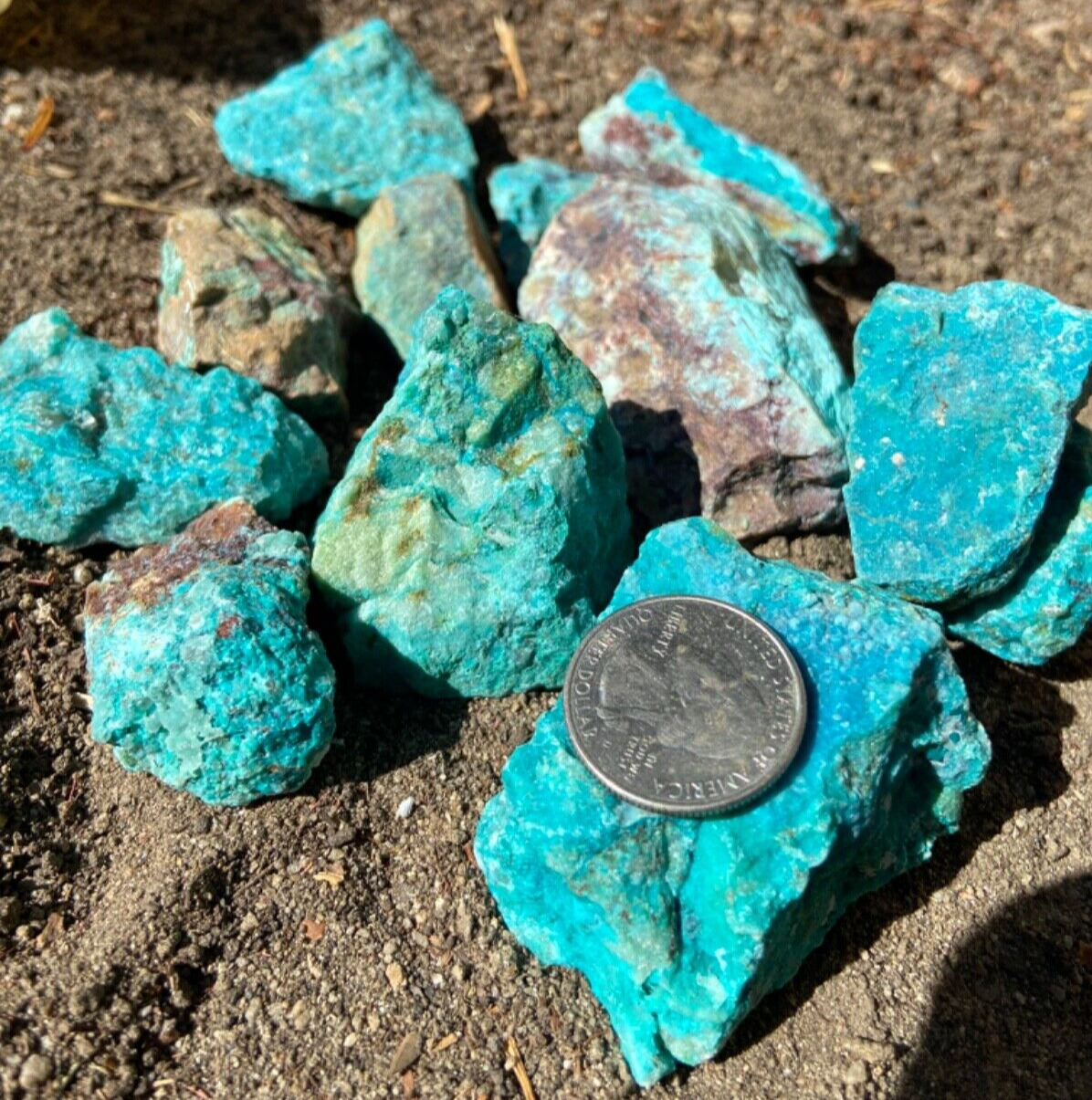 **California** Rare Turquoise Rough - 1/4 Pound Lots
