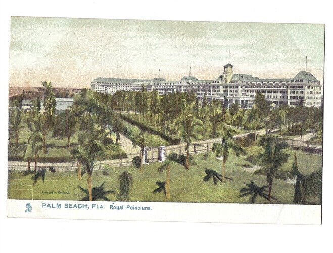 c.1900s Royal Poinciana Palm Beach FL Florida Tuck Sons Undivided Postcard UNP